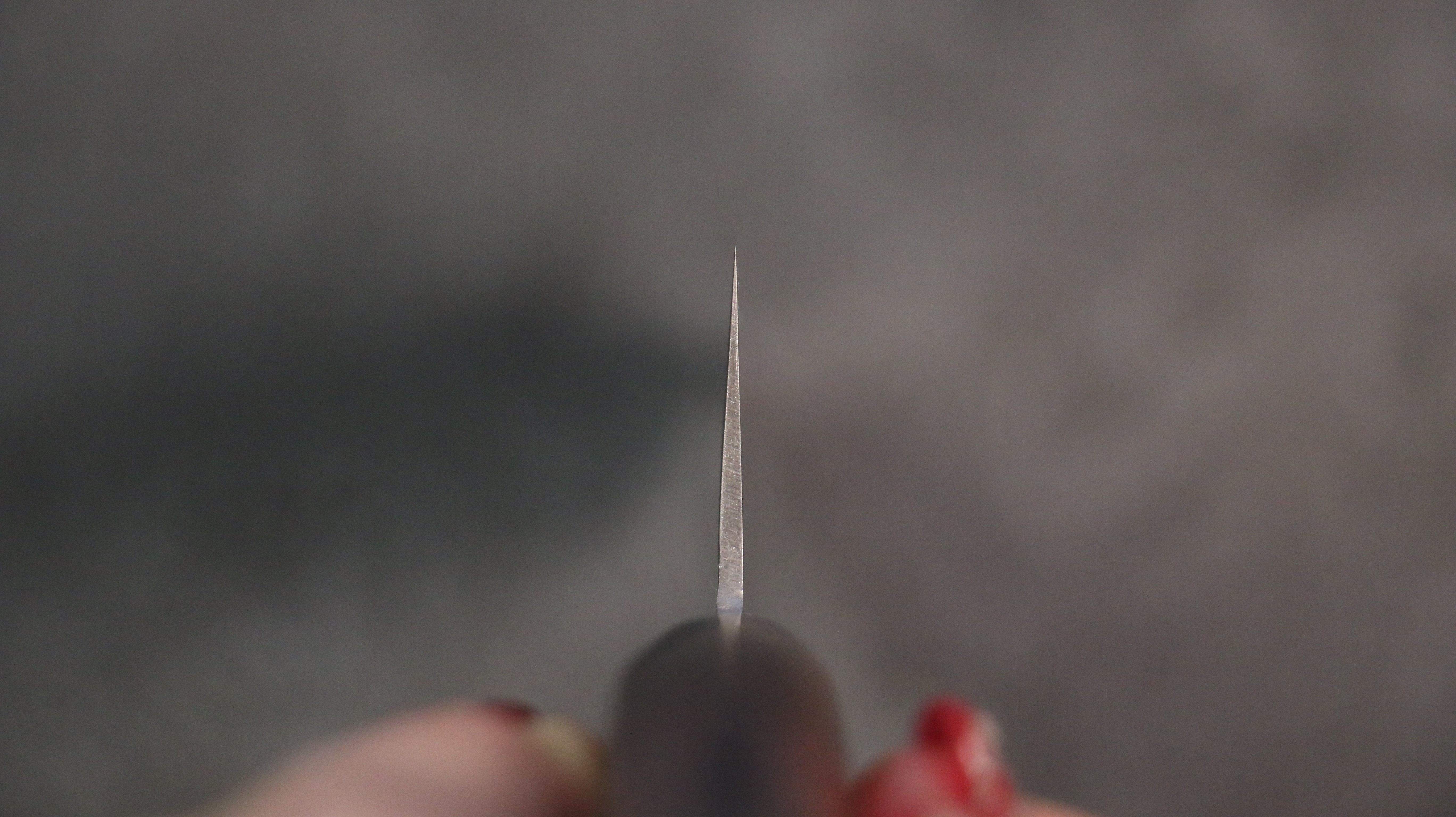 清助 瑞典鋼 鎚目 牛刀 210mm 桃花心木 握把 - 清助刃物