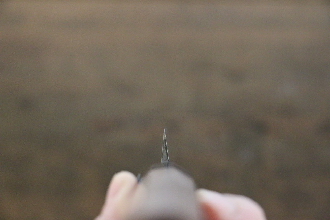 田中 誠貴 VG10 先丸蛸引 270mm 核桃木握把 - 清助刃物