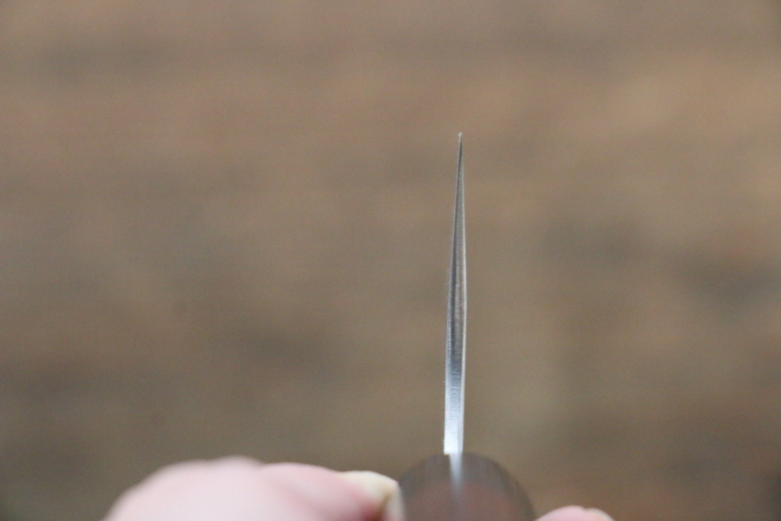 尾形 峻吾 SG2 黑打 黑打 牛刀 210mm 紫檀木 握把 - 清助刃物