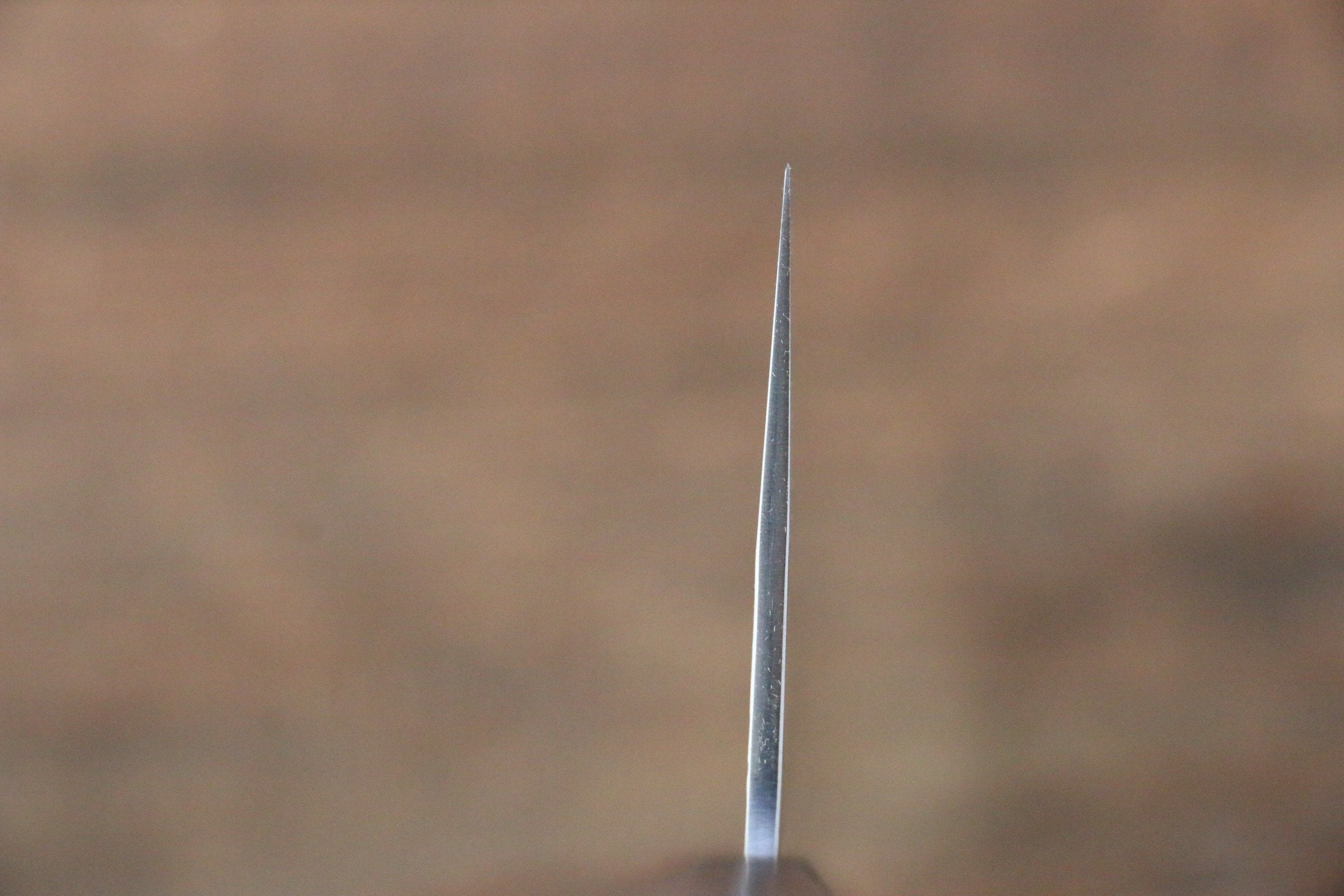 尾形 峻吾 SG2 鎚目 牛刀 225mm 雞翅木 握把 - 清助刃物