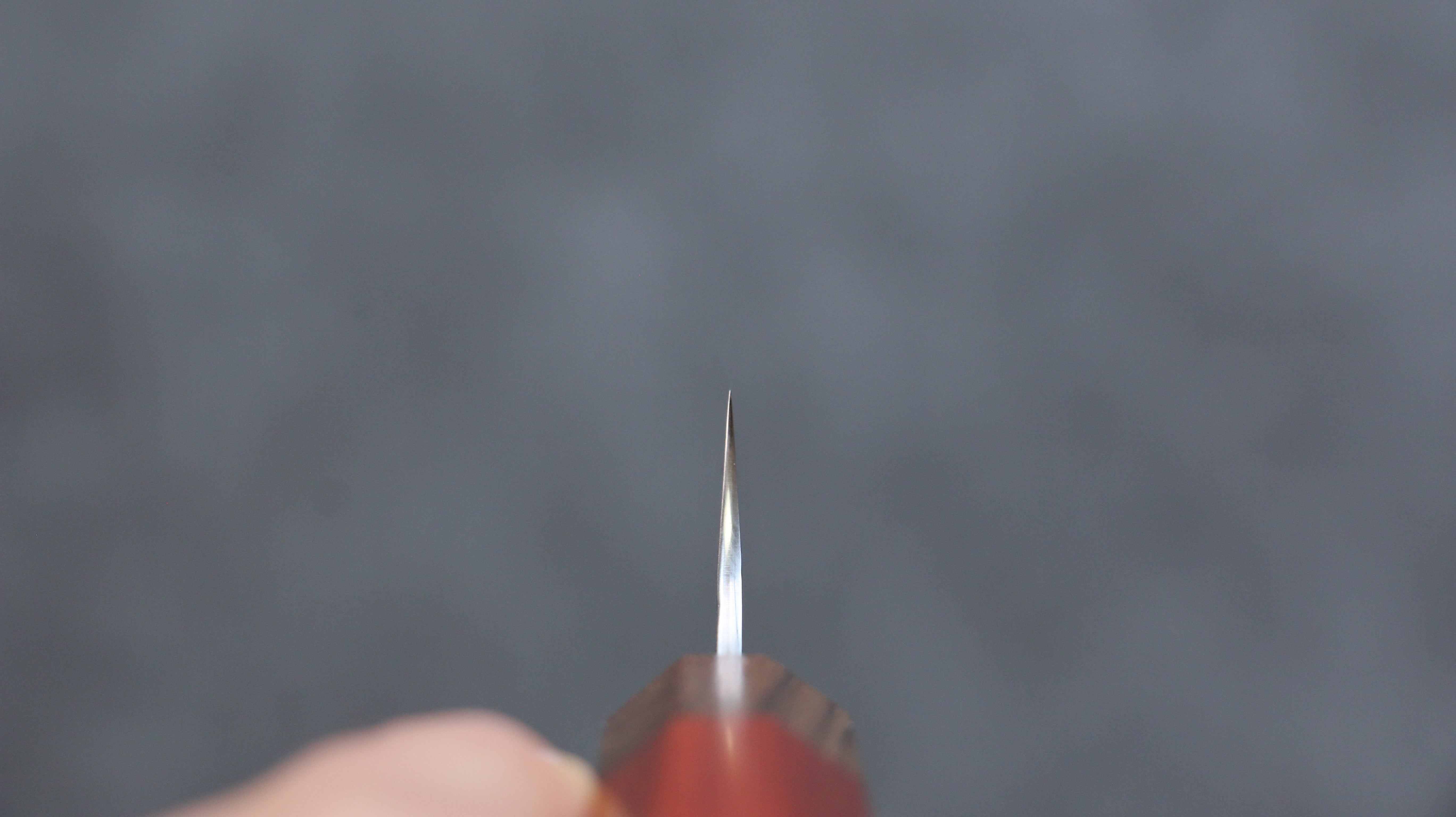 黑崎 優 閃光 銳 SG2 鎚目 筋引 240mm 紅花梨木 握把 - 清助刃物