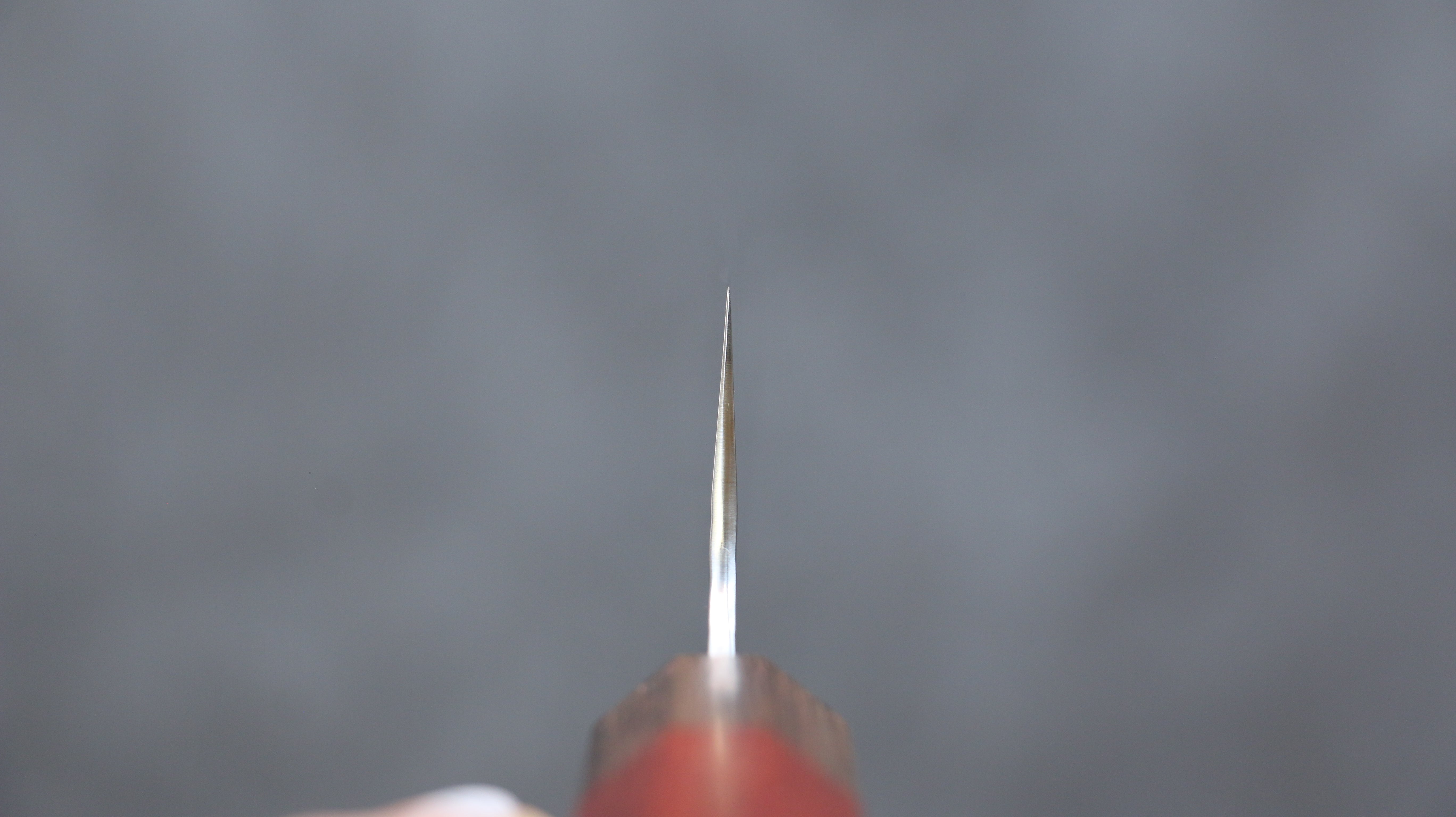 黑崎 優 閃光 銳 SG2 鎚目 筋引 270mm 紅花梨木 握把 - 清助刃物