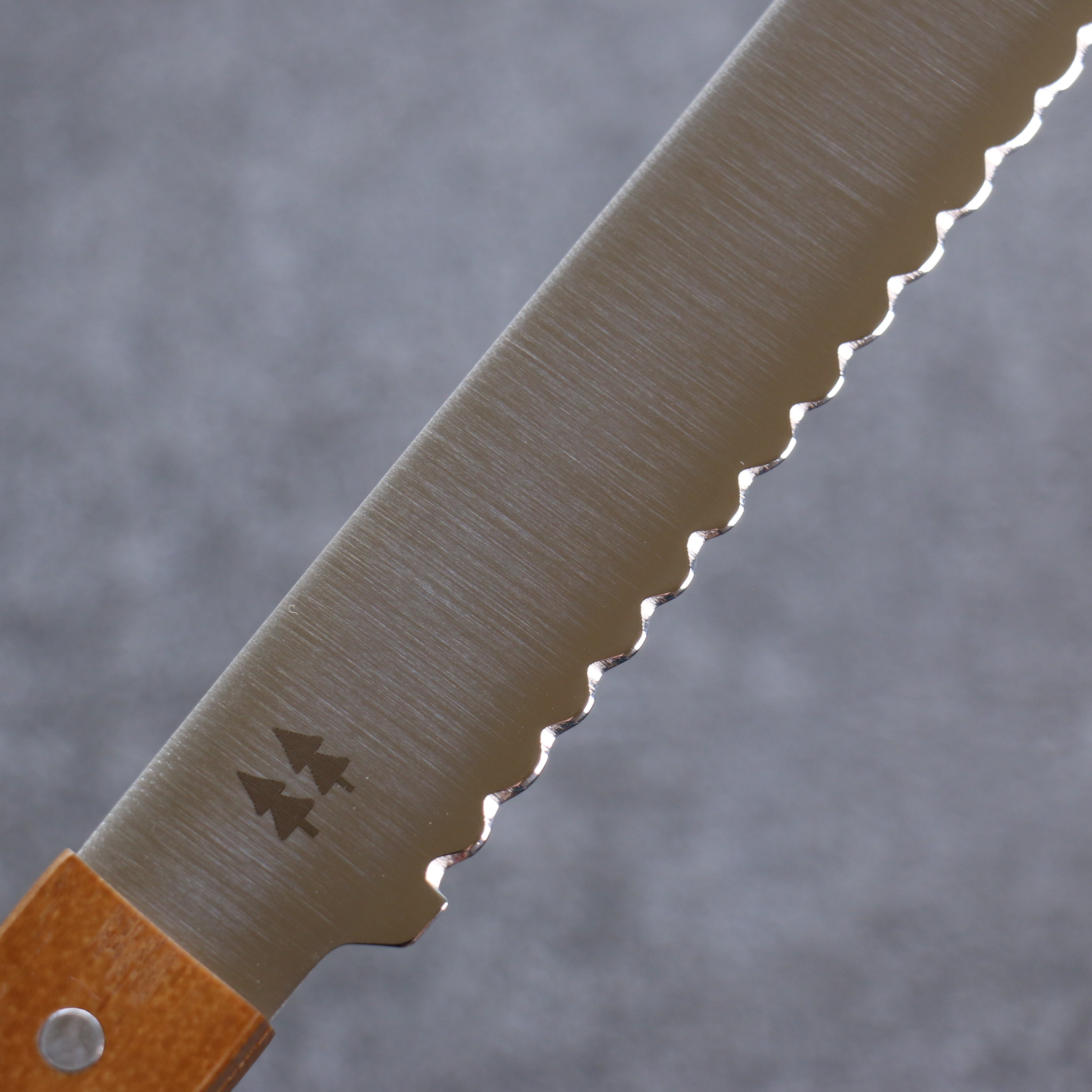 志津匠 morinoki DSR-1K6 麵包刀 240mm - 清助刃物