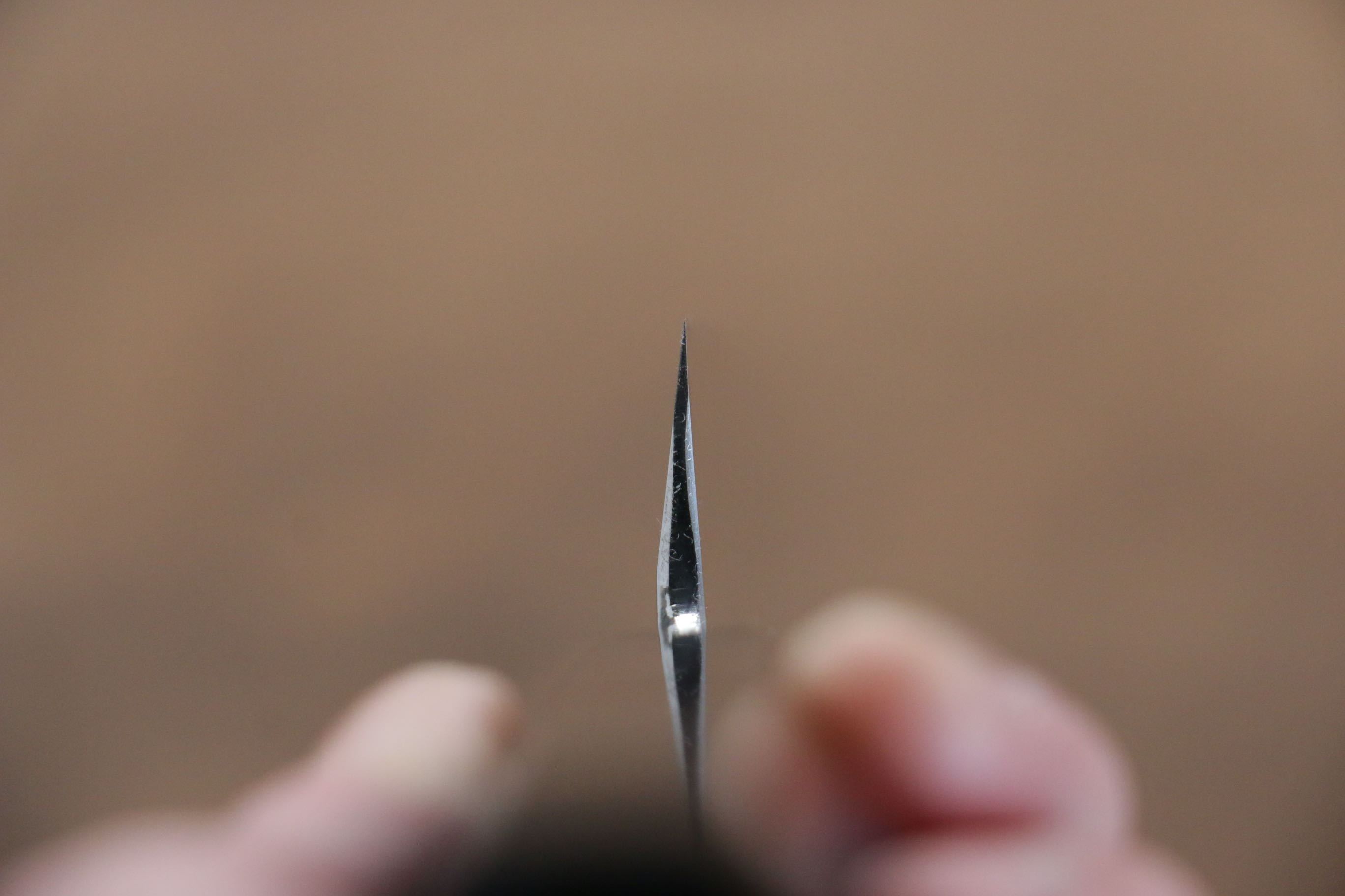 堺 孝行 富士山 白鋼二號 本燒 切付柳刃 300mm 黑檀(帶環型設計)握把 附刀鞘 - 清助刃物