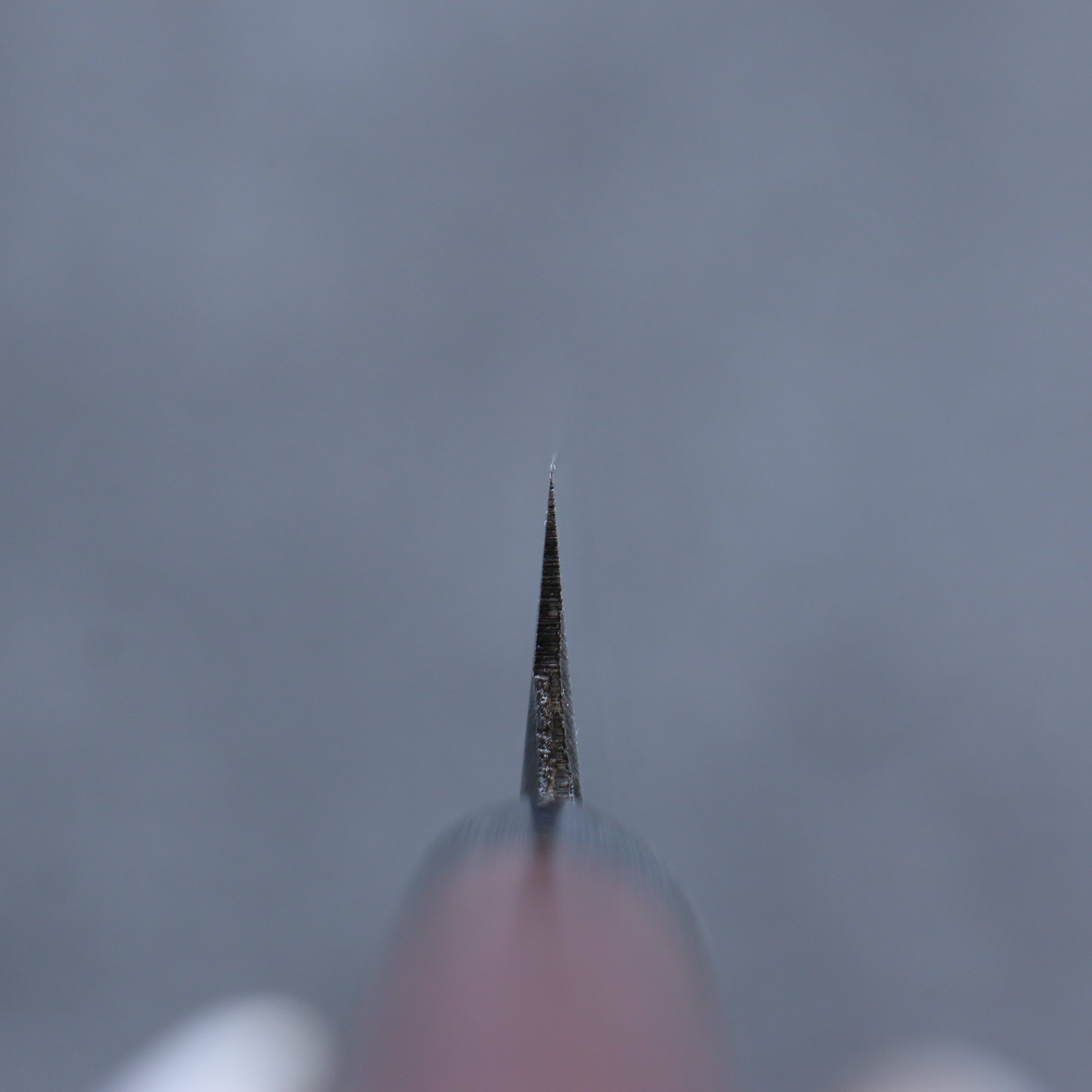 清助 白鋼 霞研 柳刃 240mm 紫檀木 握把 - 清助刃物