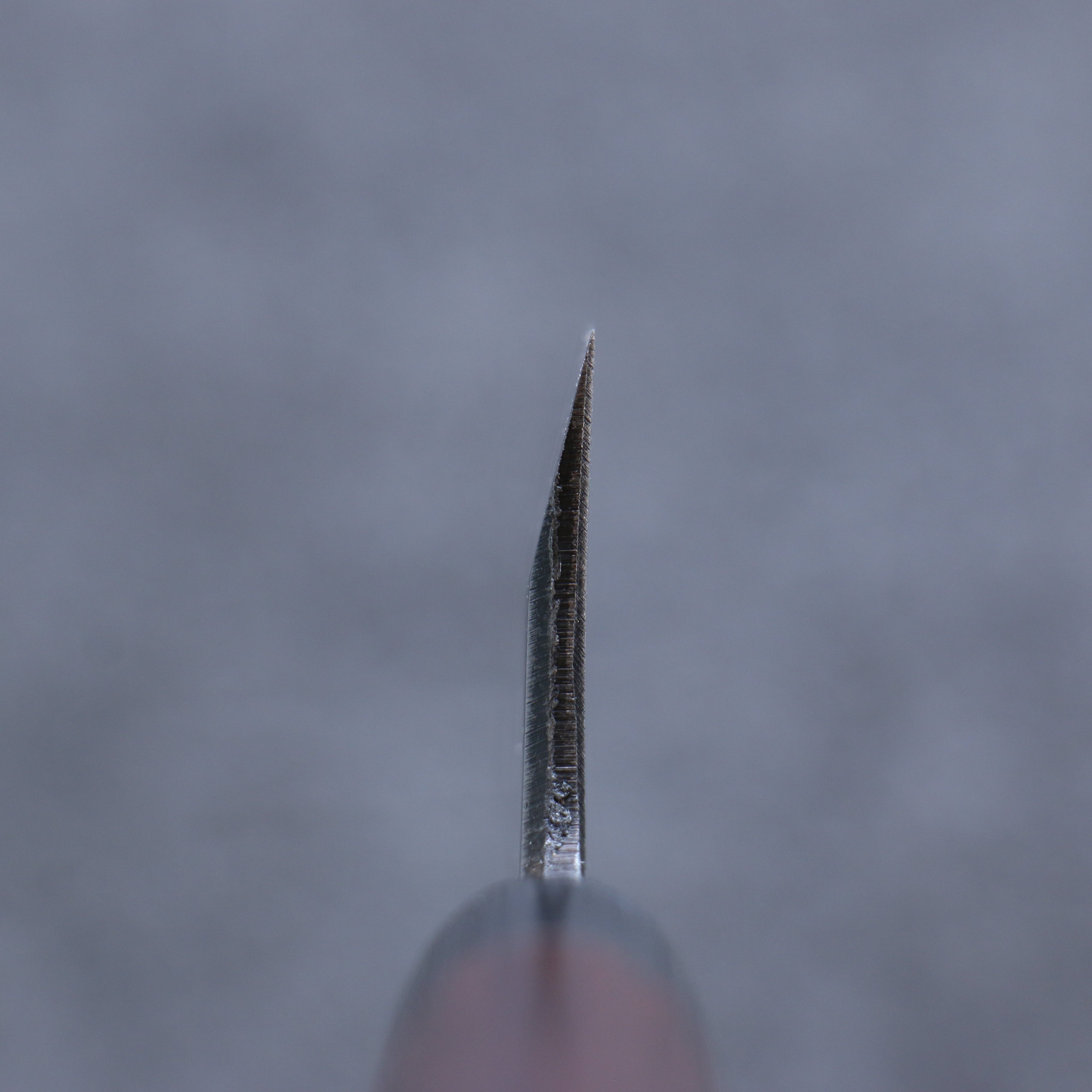 清助 白鋼 霞研 舟行 180mm 紫檀木 握把 - 清助刃物
