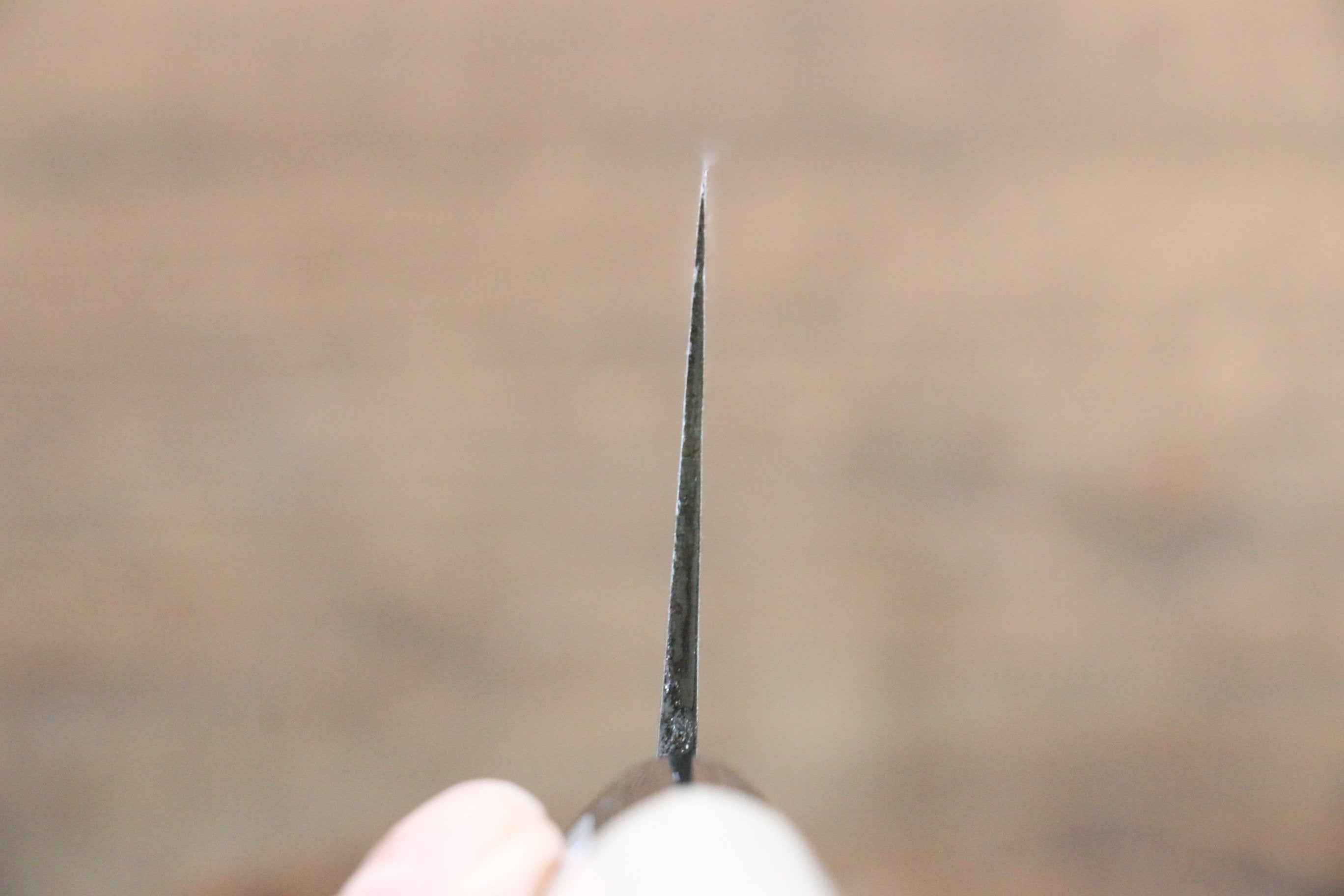 兼常 青鋼二號 打磨處理 菜切 165mm 木蘭 握把 - 清助刃物