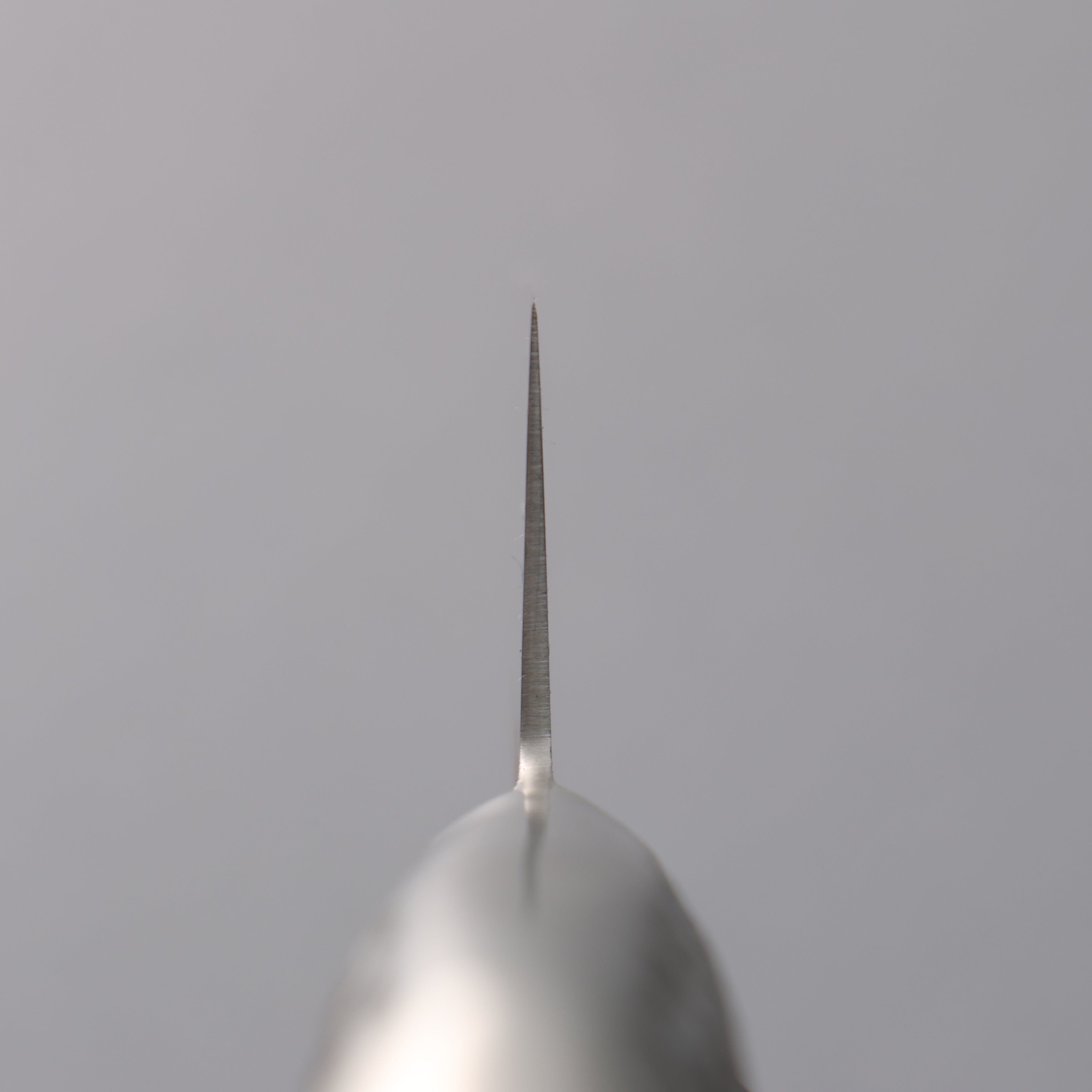 堺 孝行 INOX PRO 鉬鋼 牛刀  180mm - 清助刃物