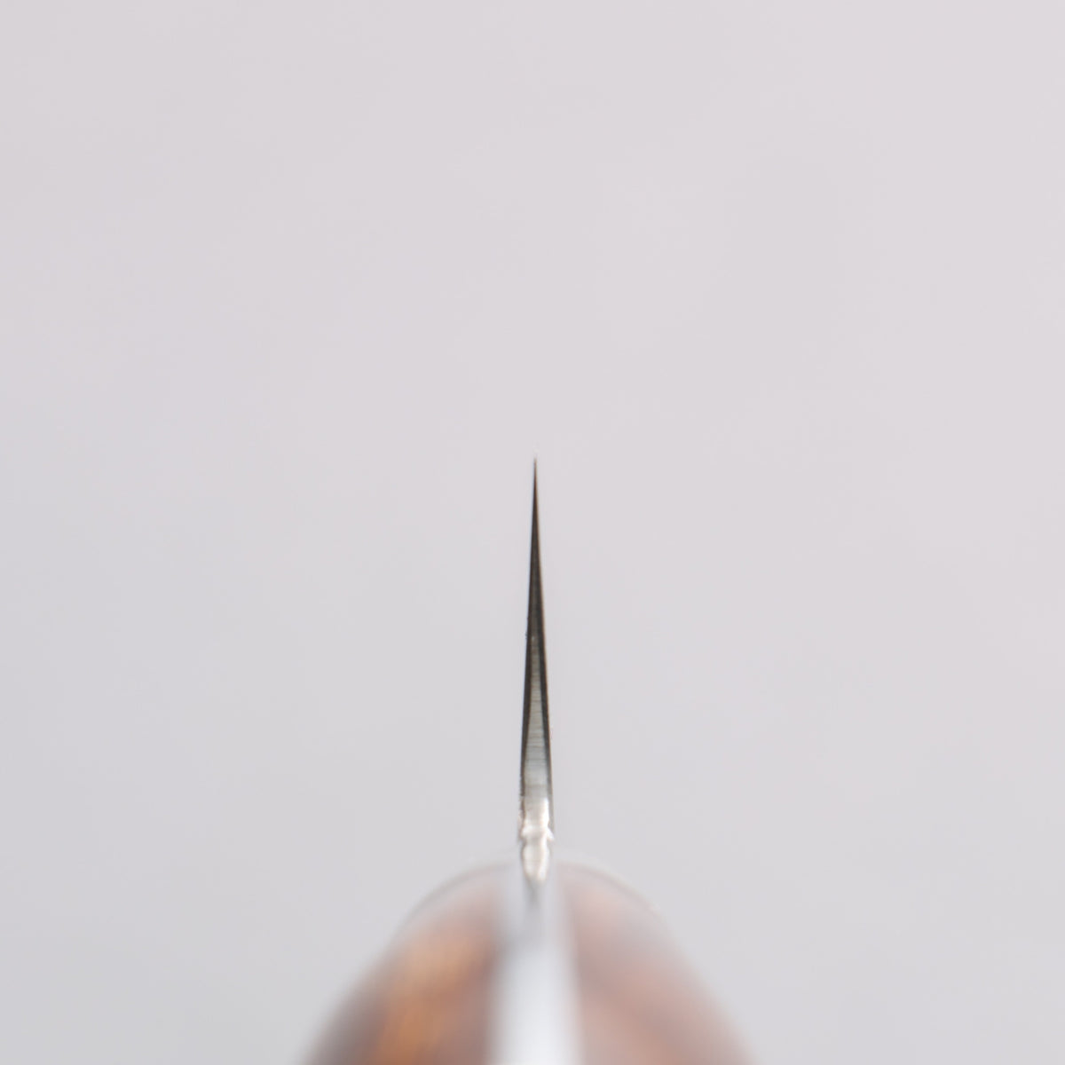 田中 誠貴 SG2 大馬士革紋 多用途小刀 150mm 鐵木 握把 - 清助刃物