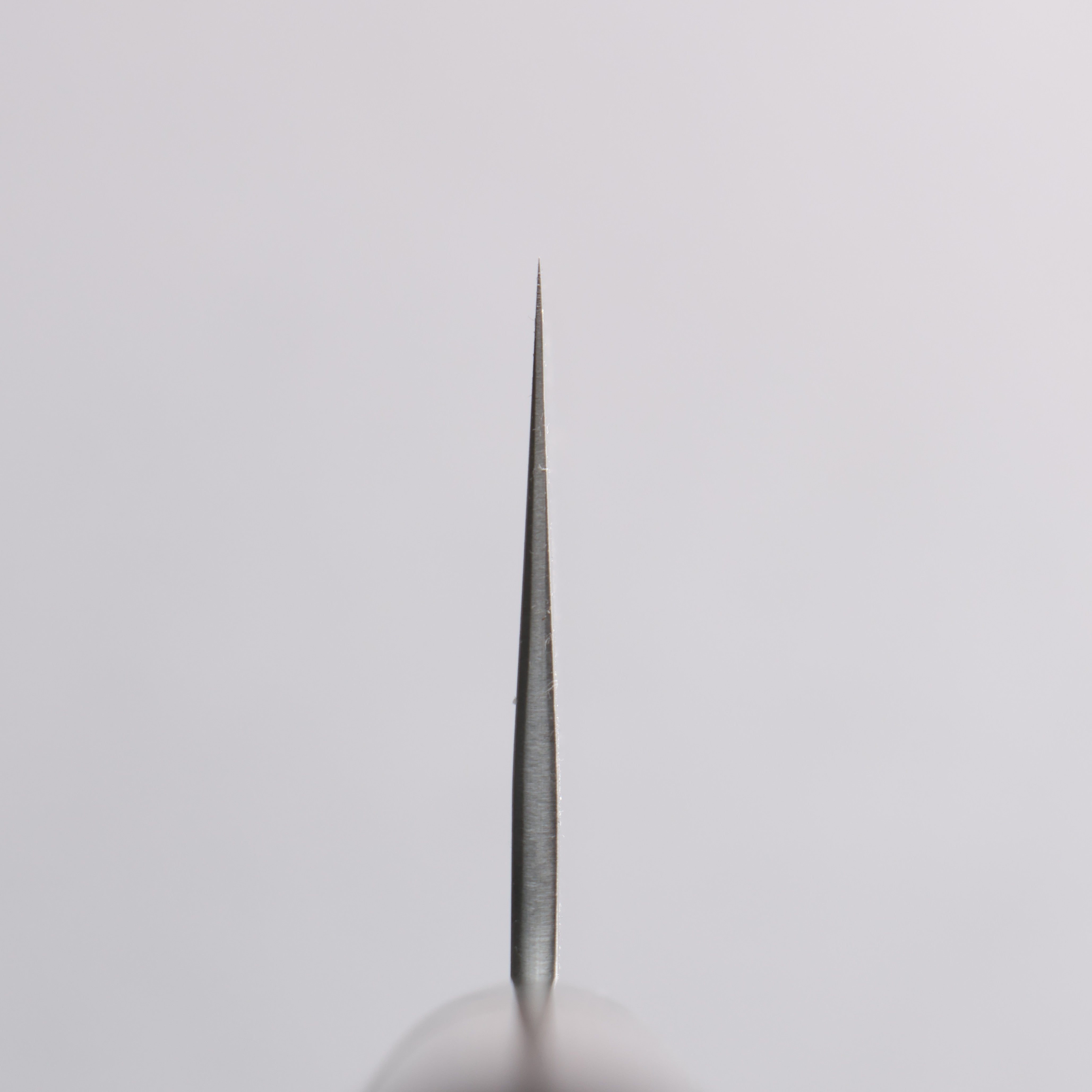 尾形 峻吾 SG2 Togidashi 菜切 170mm 紫檀木 握把 - 清助刃物