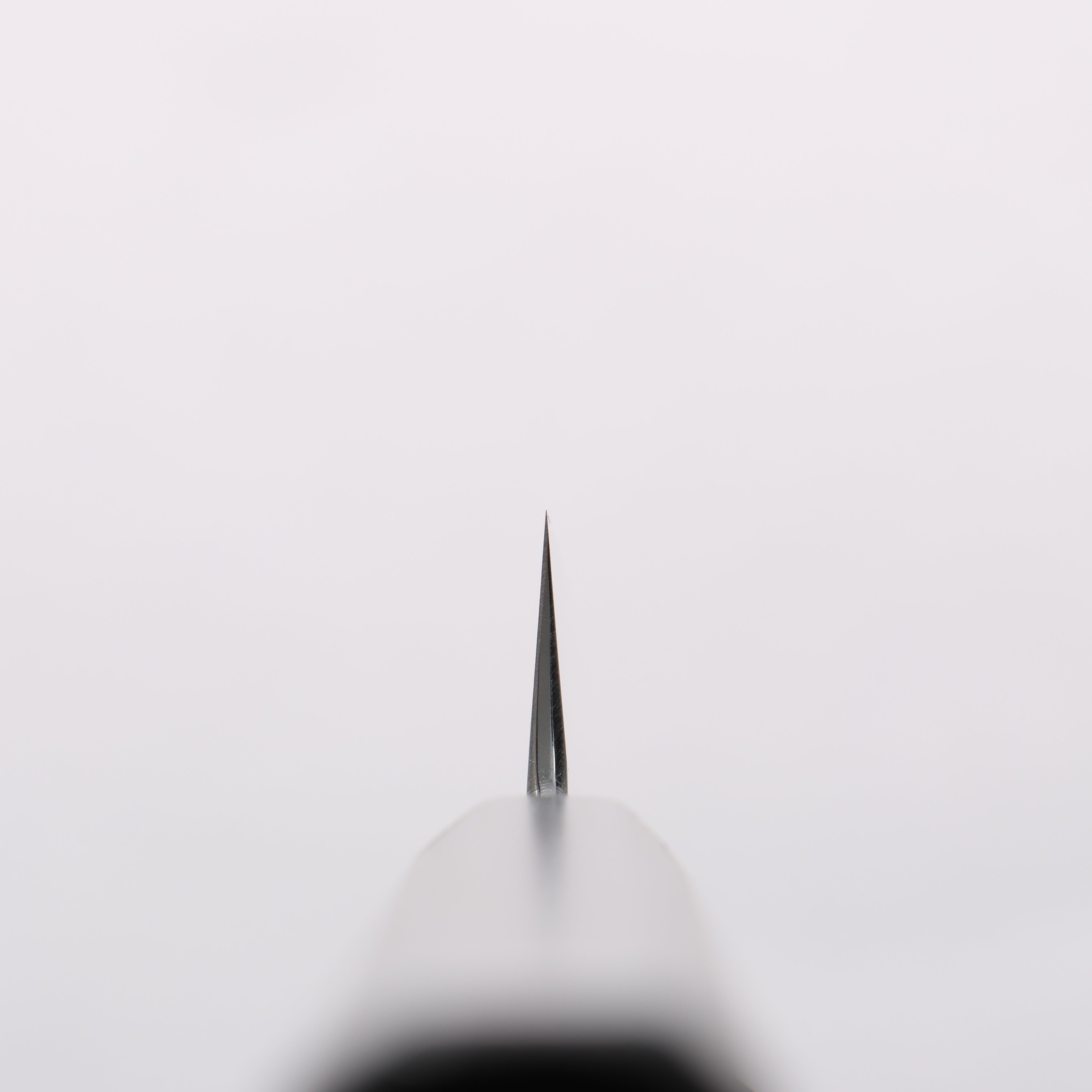 景清 白鋼 多用途小刀 150mm 漆塗 (木蘭) 握把 - 清助刃物