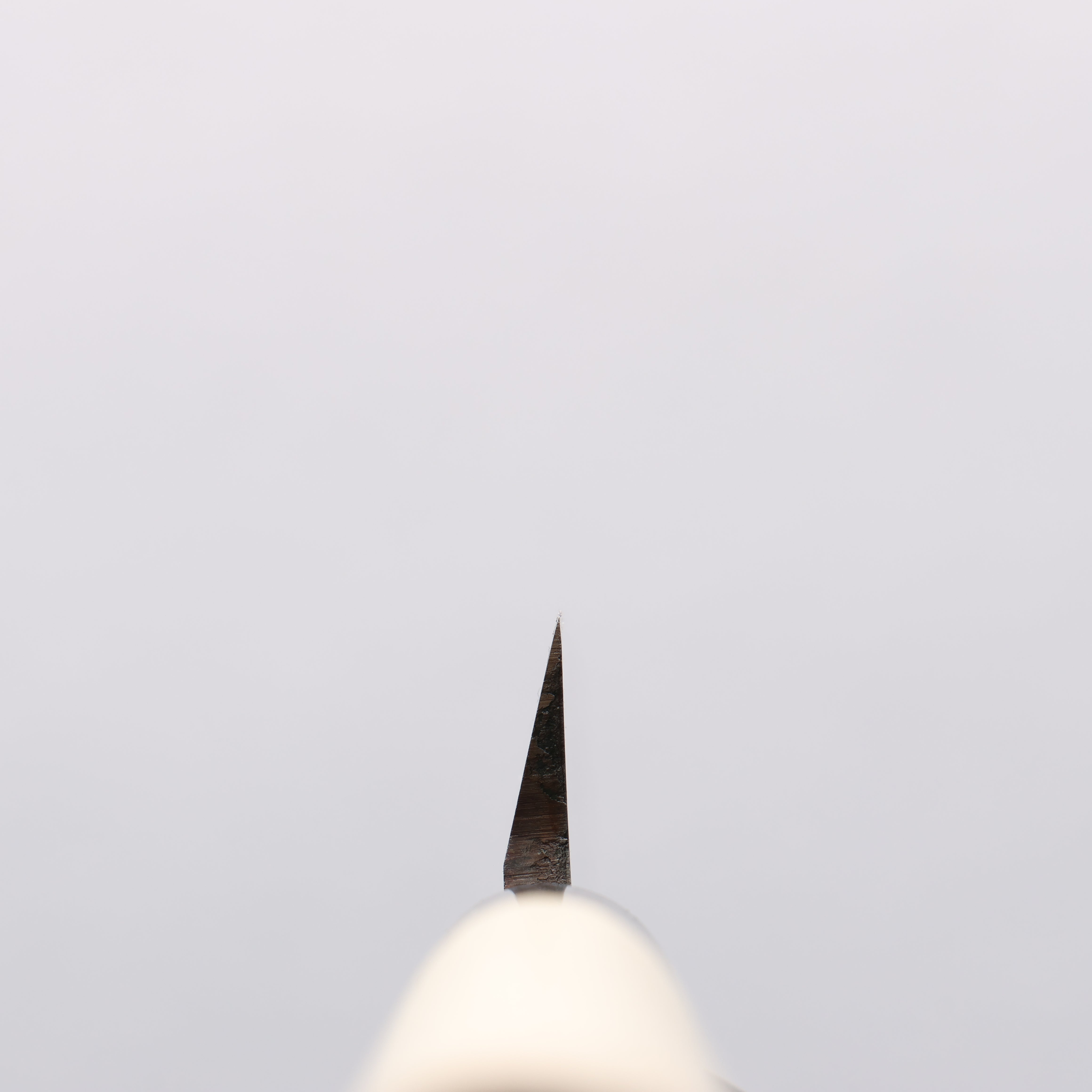 堺 孝行 INOX 鉬鋼 葉蘭切刀 120mm 木蘭握把 - 清助刃物