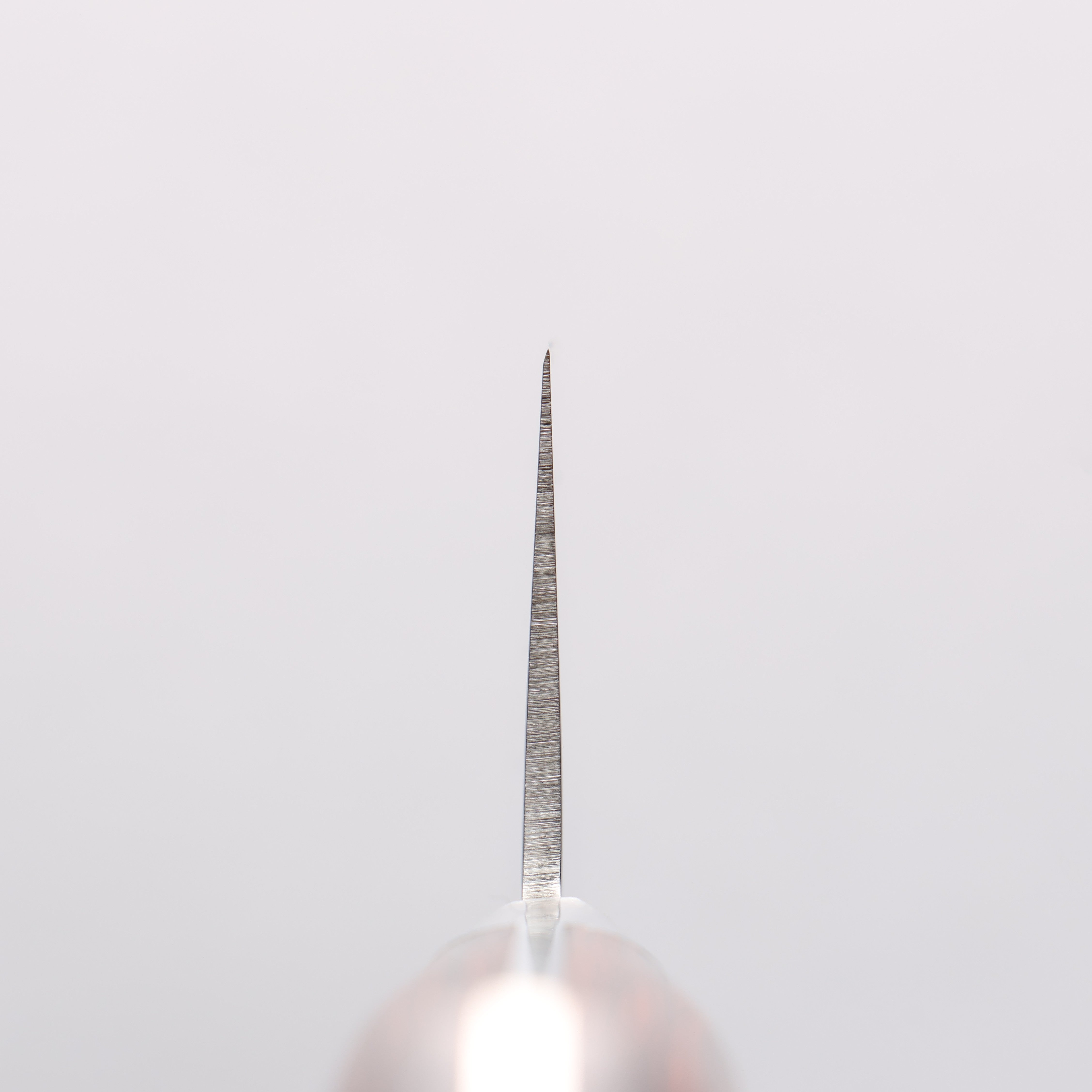 清助 VG10 33層 鎚目 大馬士革紋 牛刀 210mm 桃花心木 握把 - 清助刃物