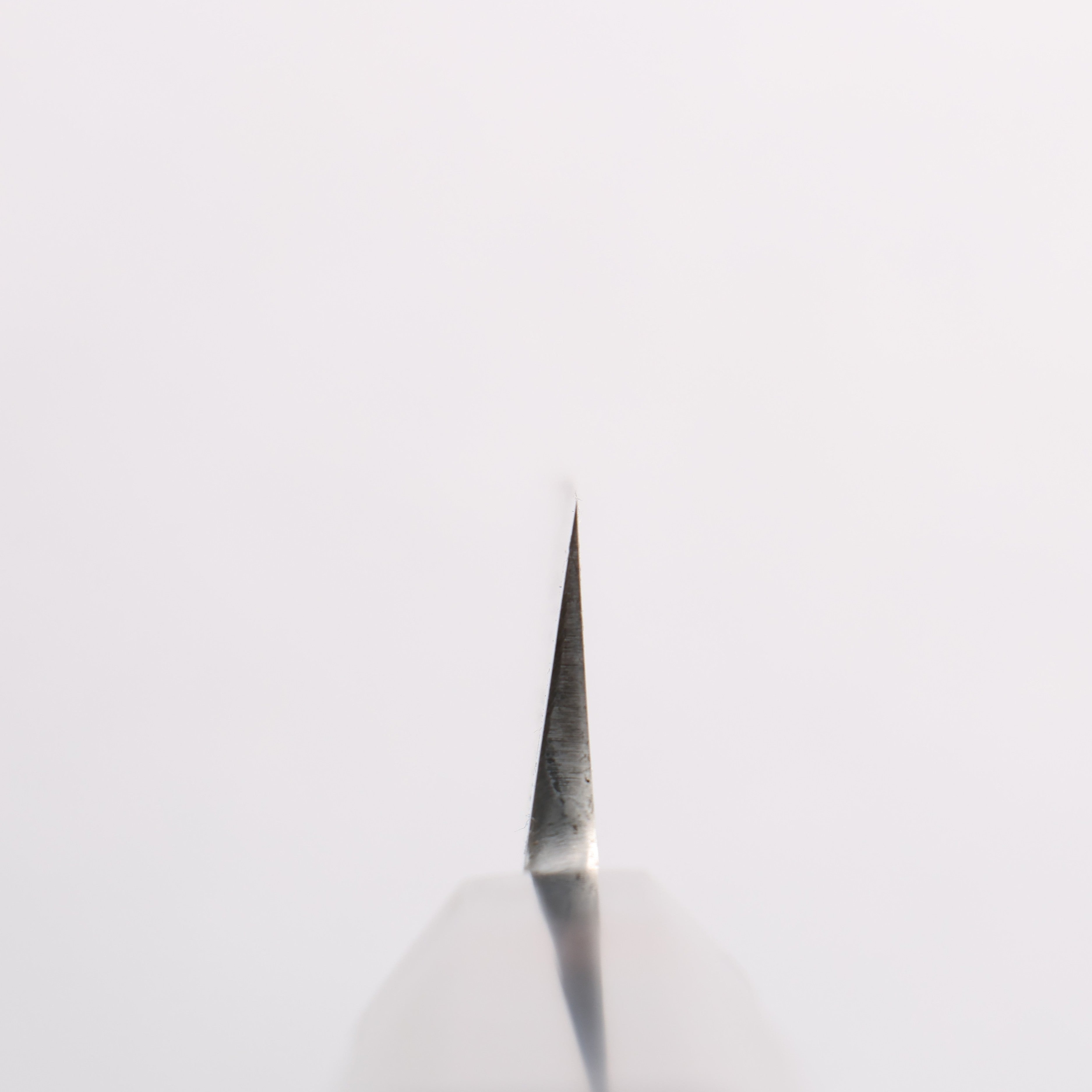 源 昭忠 青鋼一號 柳刃 270mm 黑檀 握把 - 清助刃物