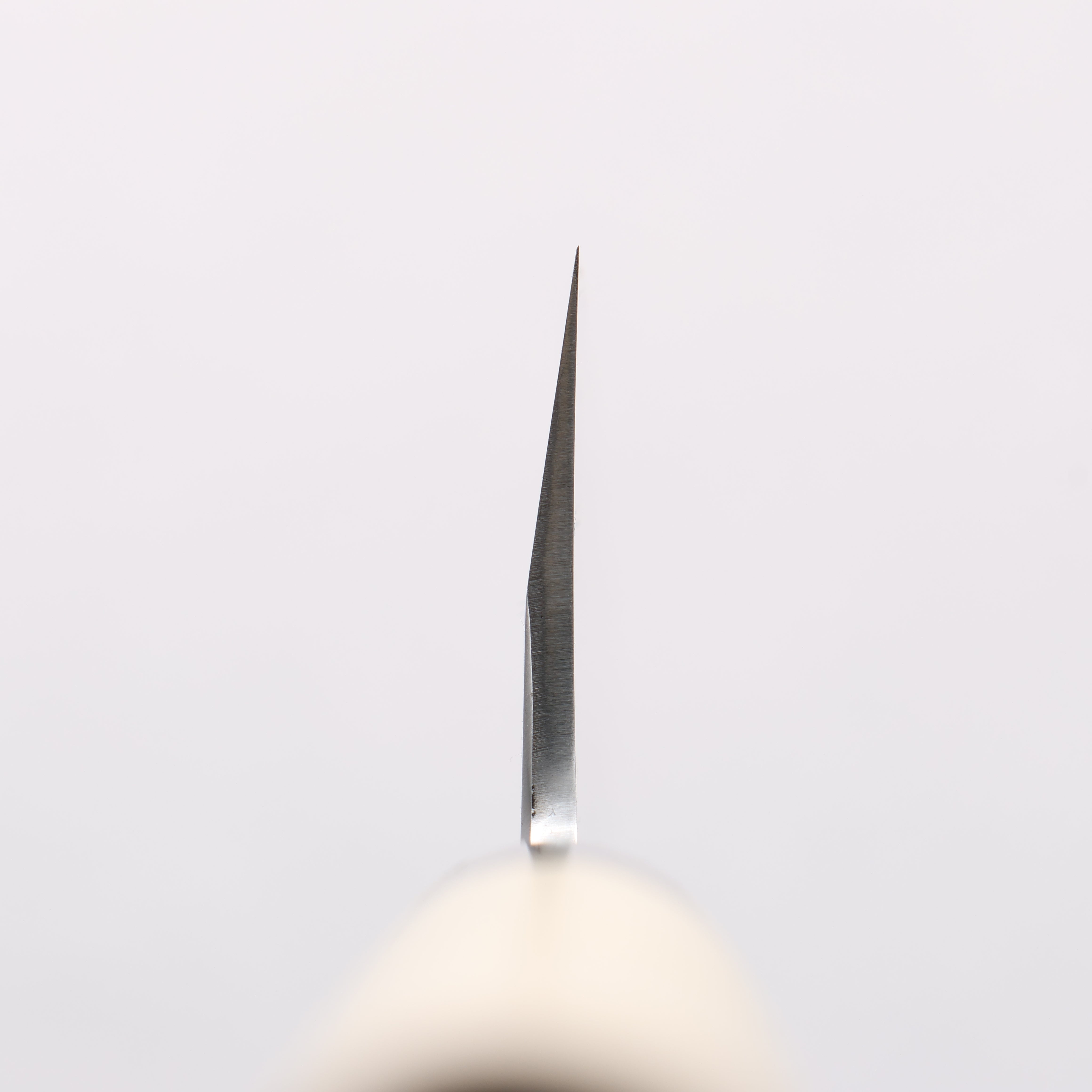 堺 孝行 特上 白鋼二號 牛刀 210mm 木蘭 握把 - 清助刃物