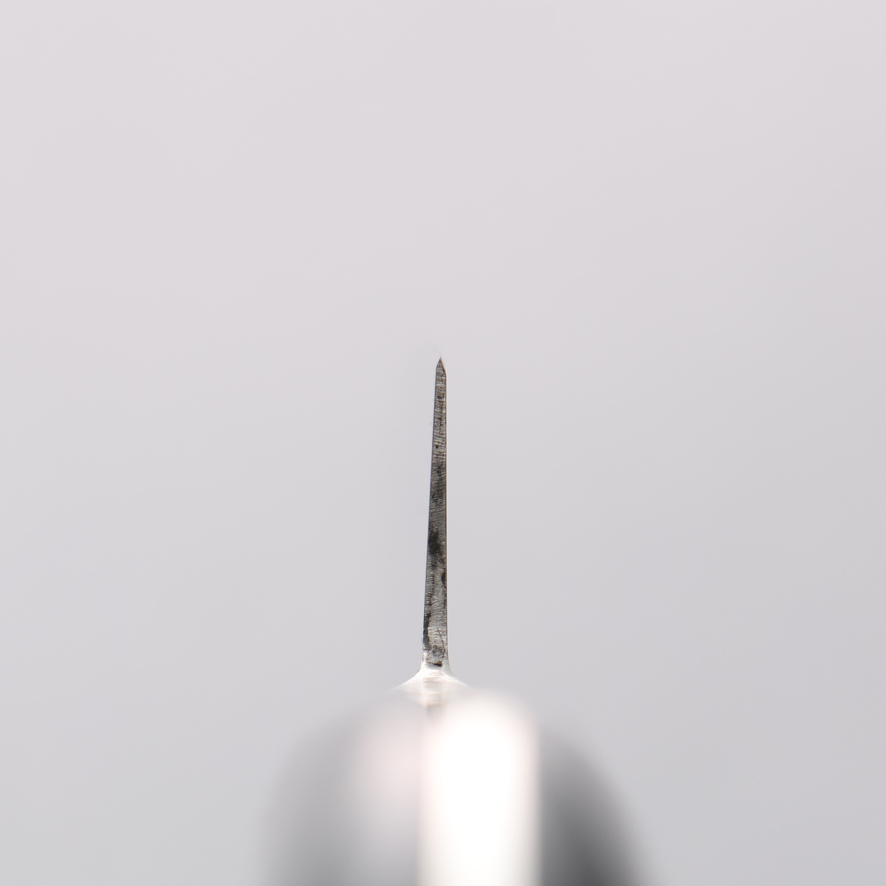 清助 青天 鉬鋼（MOL） 多用途小刀 150mm 深藍色合成木 握把 附刀鞘 - 清助刃物
