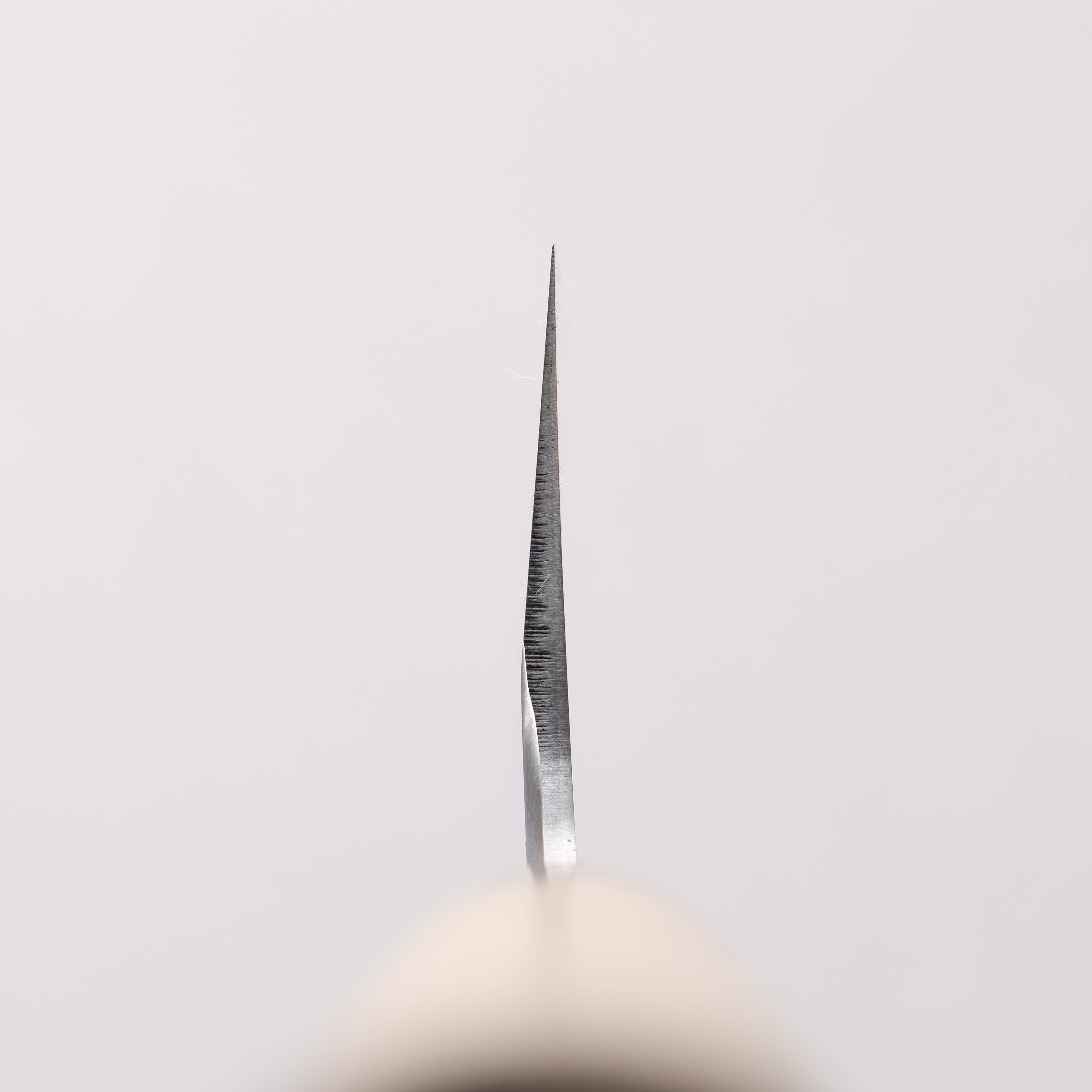 堺 孝行 特上 白鋼二號 牛刀 270mm 木蘭 握把 - 清助刃物
