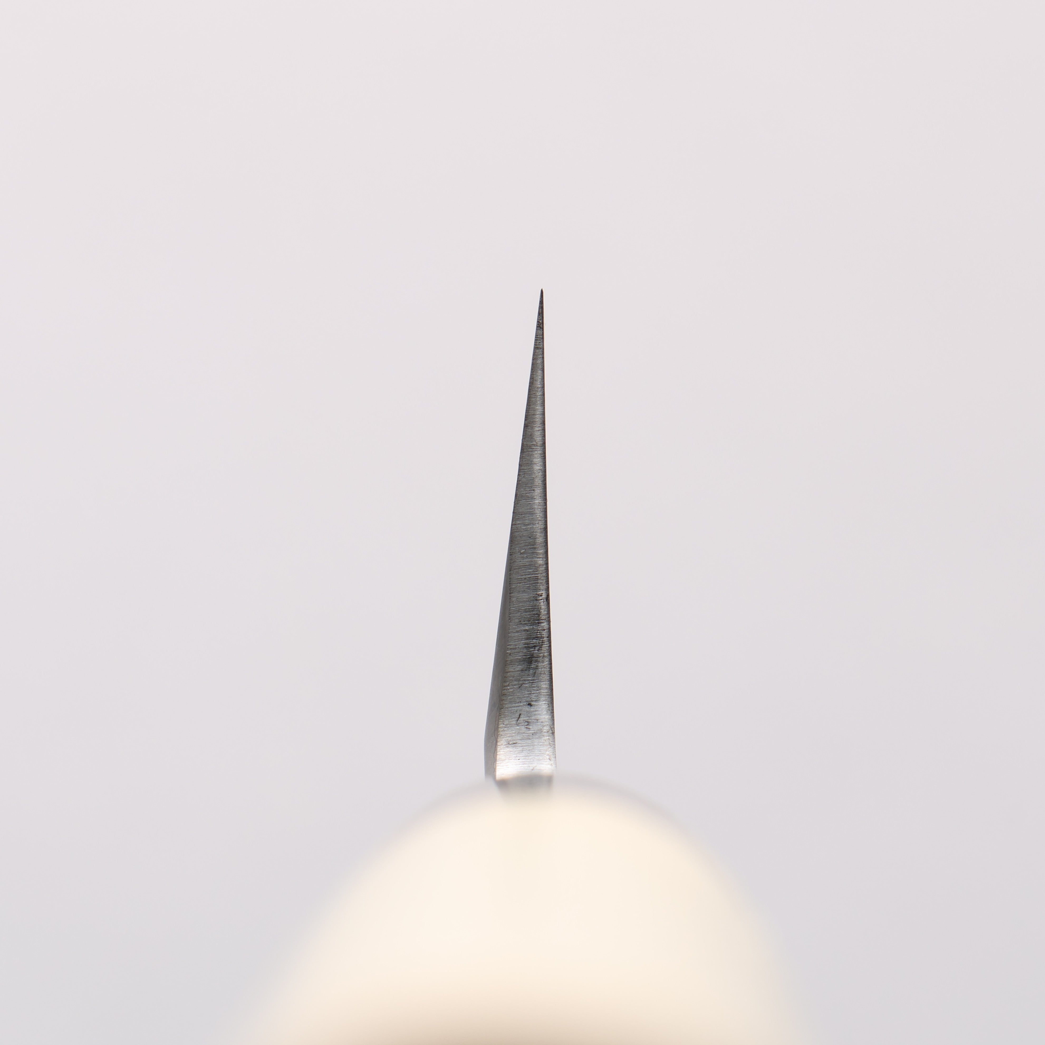 堺 孝行 特上 白鋼二號 切付牛刀 210mm 木蘭 握把 - 清助刃物