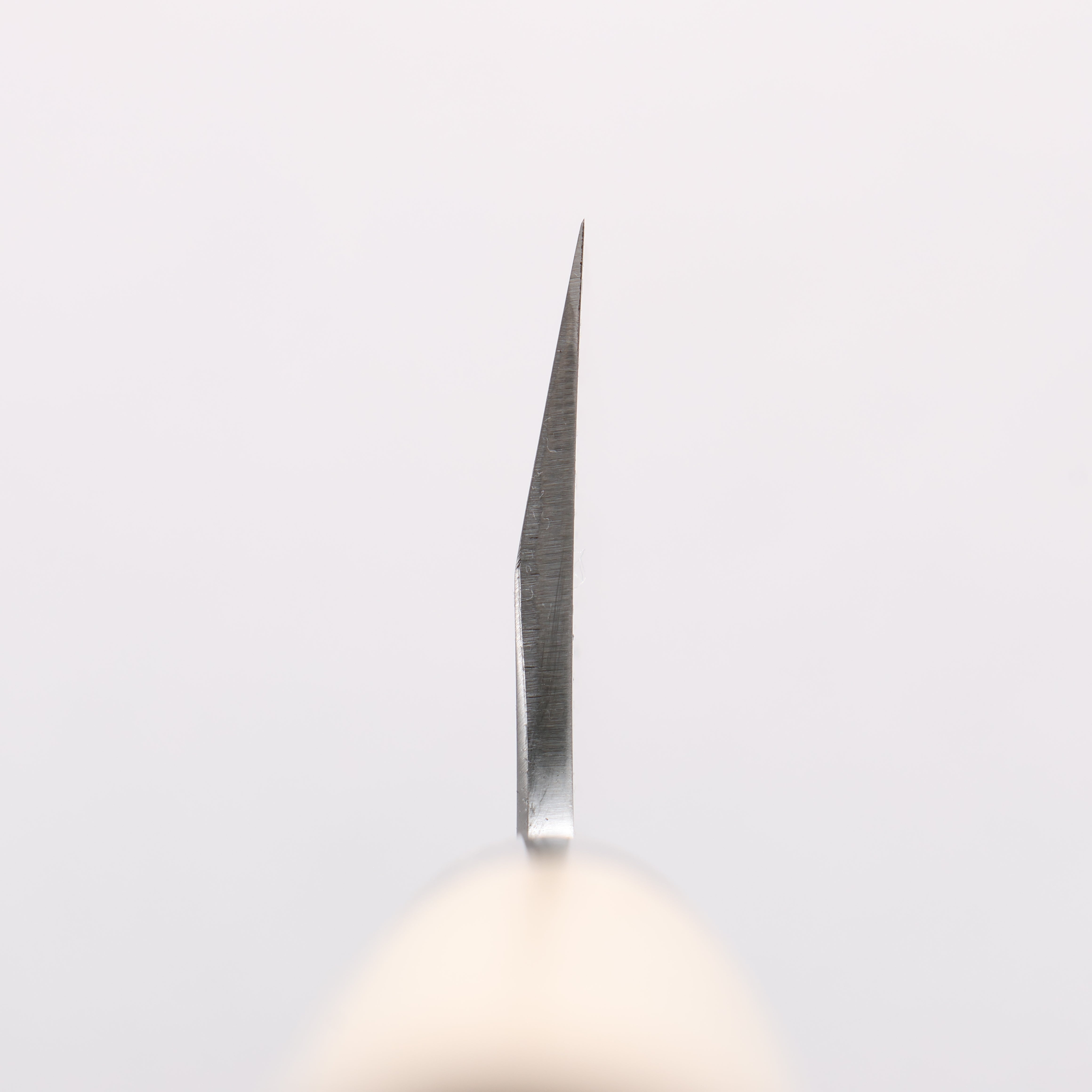 堺 孝行 特上 白鋼二號 牛刀 240mm 木蘭 握把 - 清助刃物