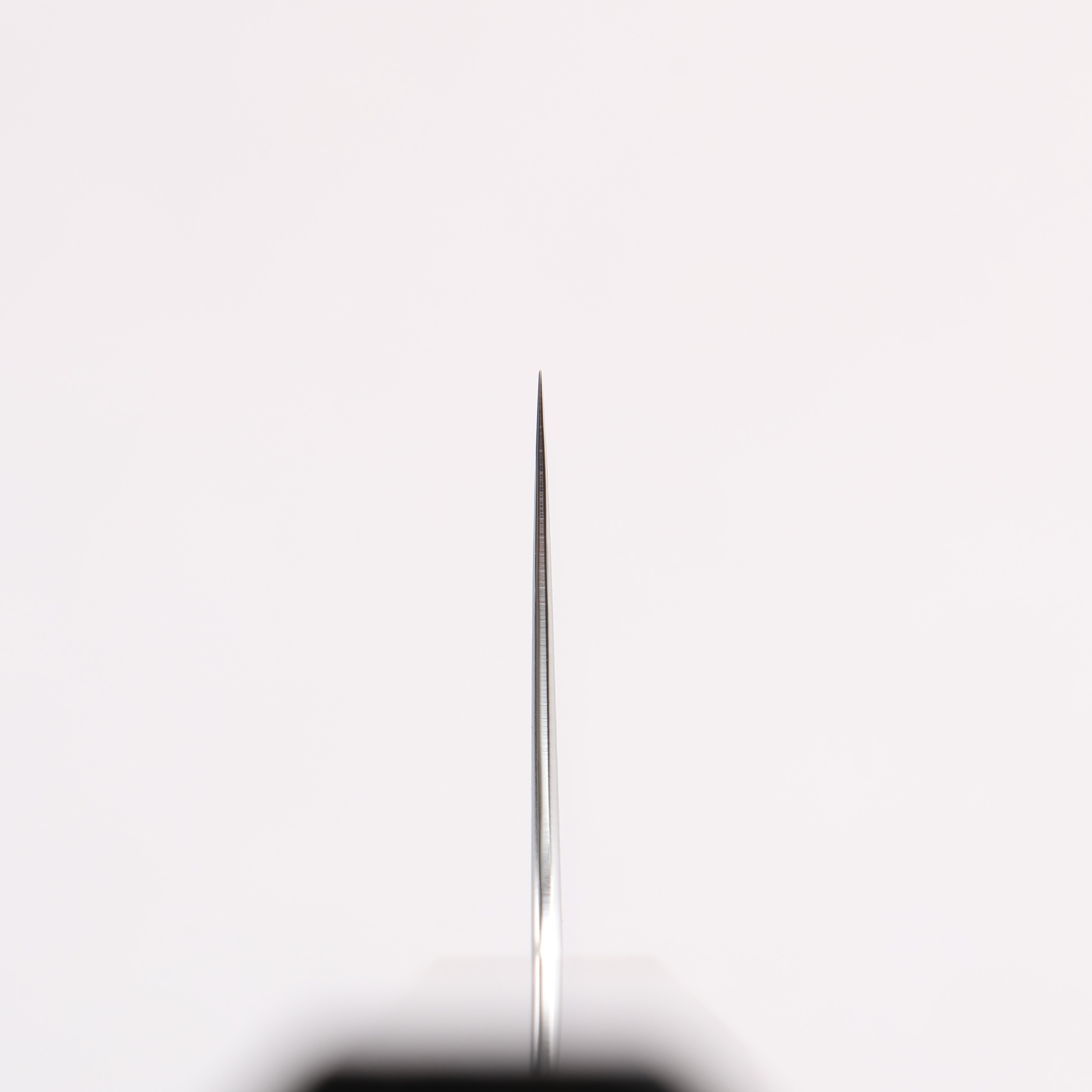 清助 SG2 大馬士革紋 打磨處理 牛刀 210mm 黑檀 握把 - 清助刃物