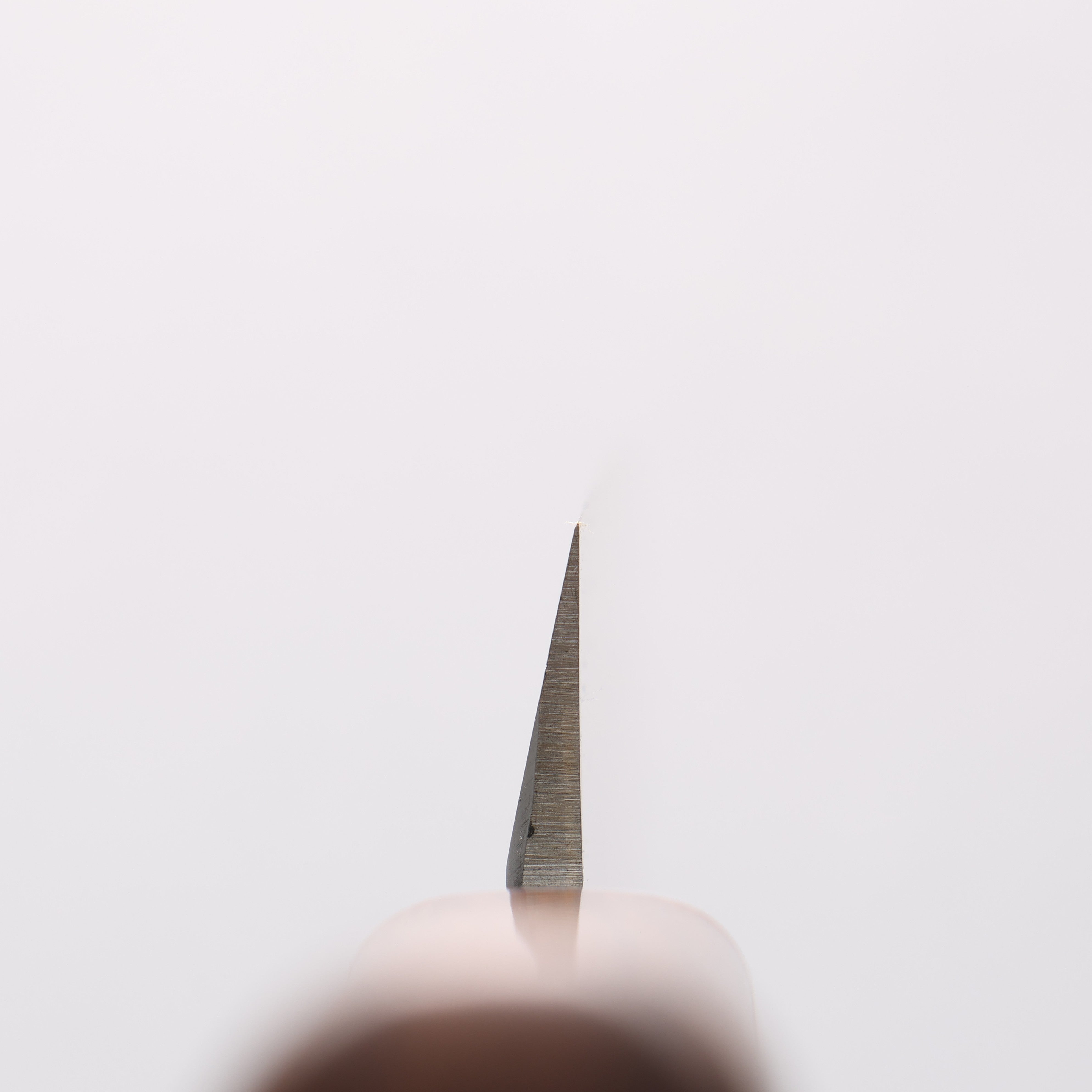 堺 孝行 INOX 鉬鋼 柳刃 沙漠鐵木（杉原型） 握把 - 清助刃物
