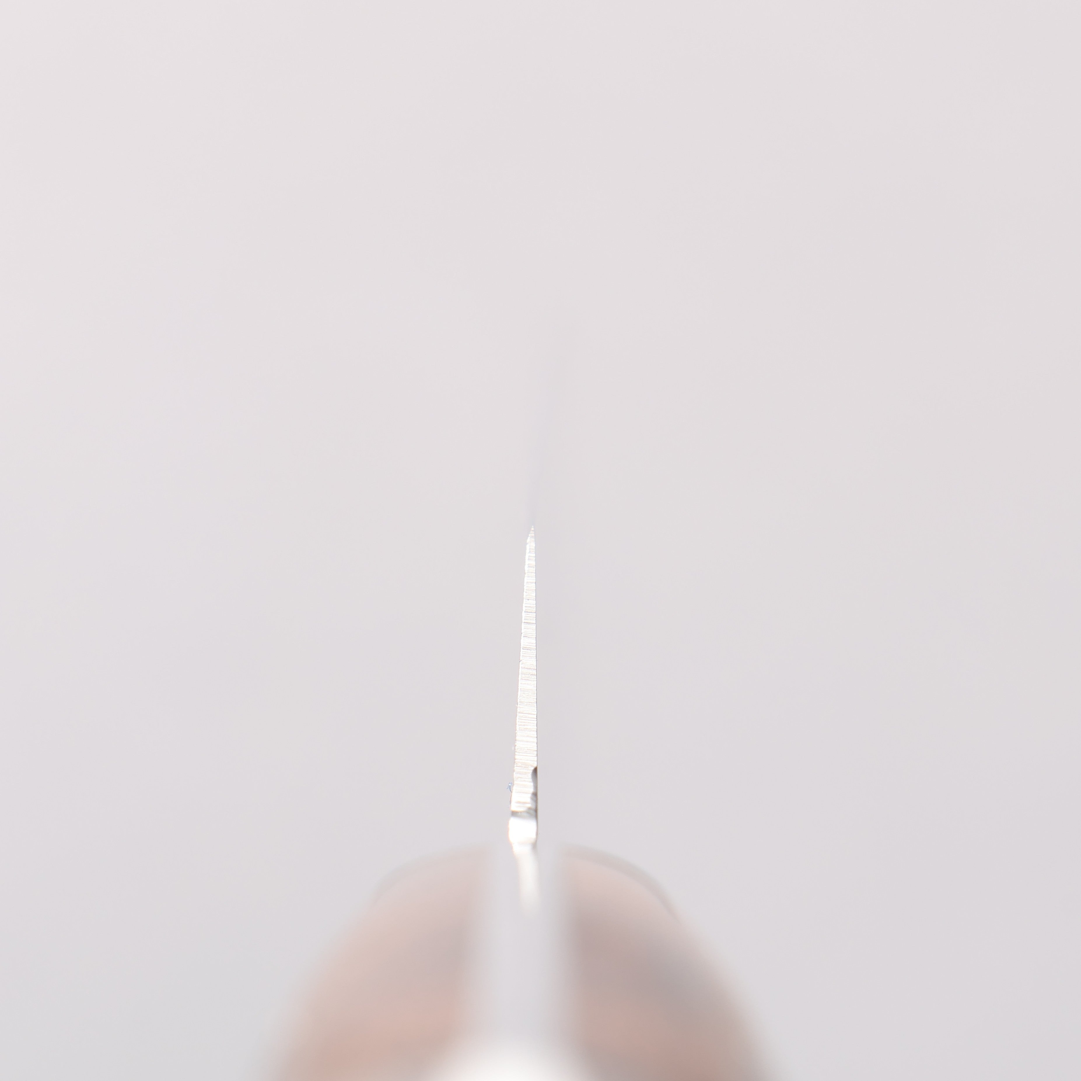 堺 孝行 不鏽鋼 切肉刀 240mm 握把 - 清助刃物