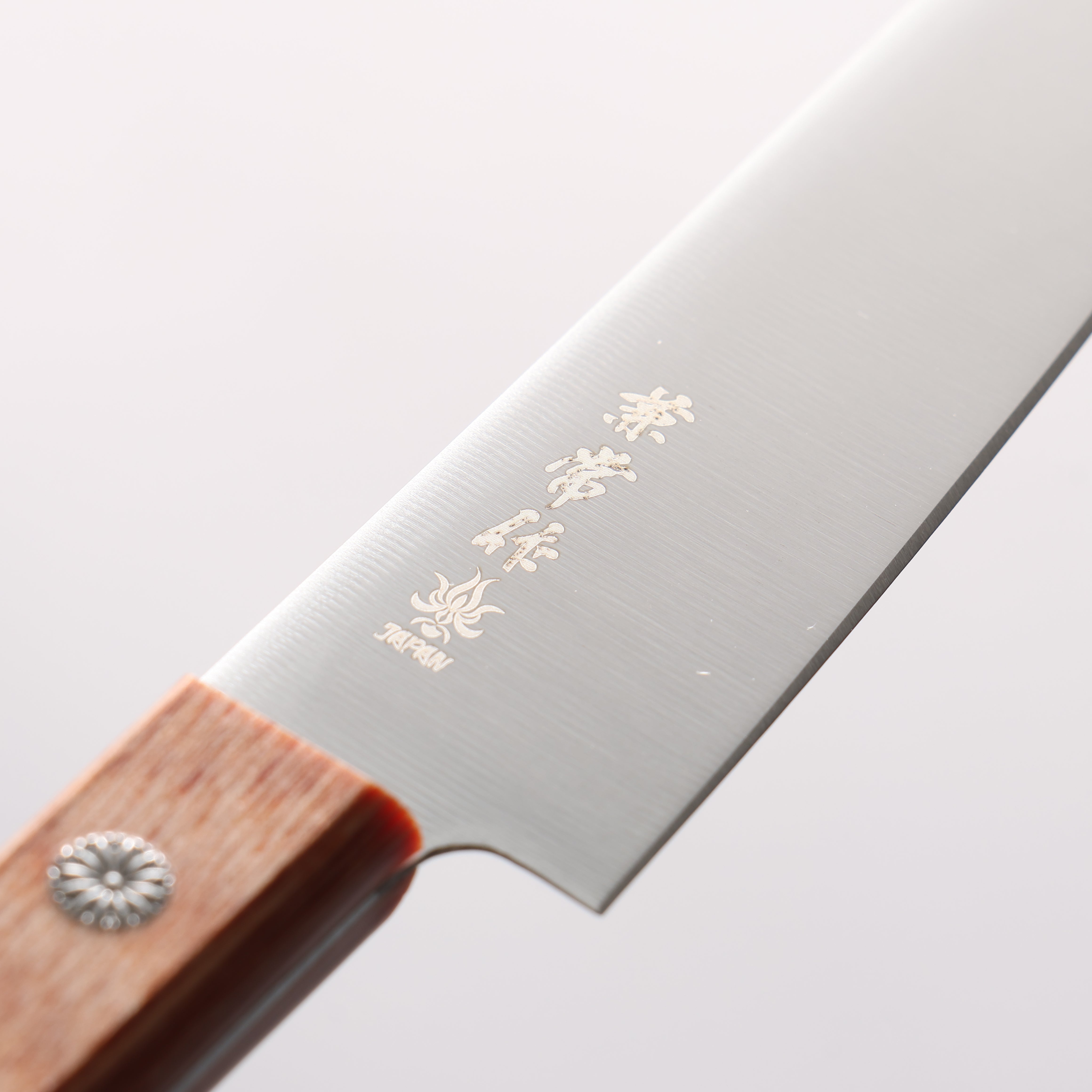 兼常 DSR-1K6 多用途小刀 120mm 合成木 握把 - 清助刃物
