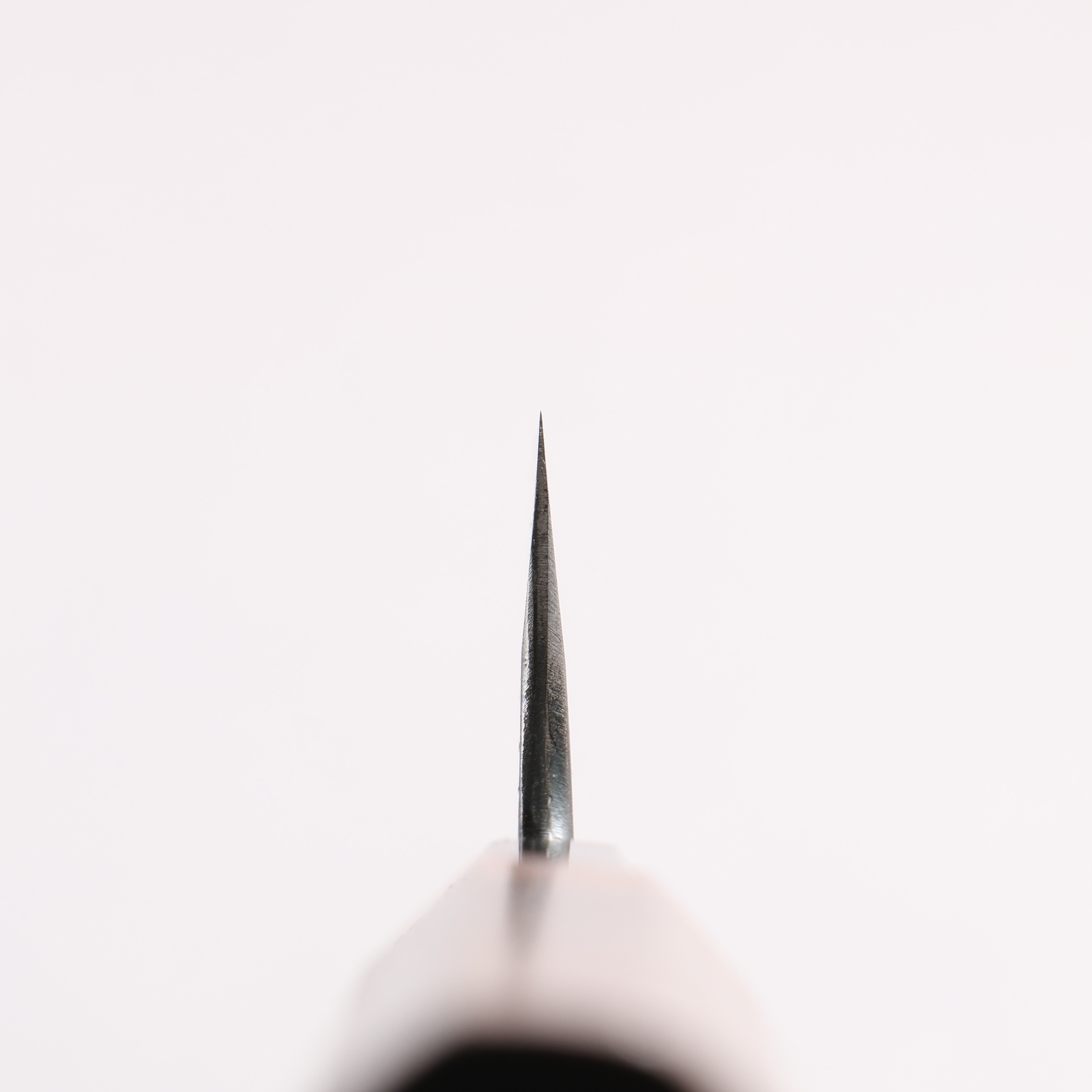 西田大祐 小春 白鋼一號 黑打 多用途小刀 100mm 核桃木 握把 - 清助刃物