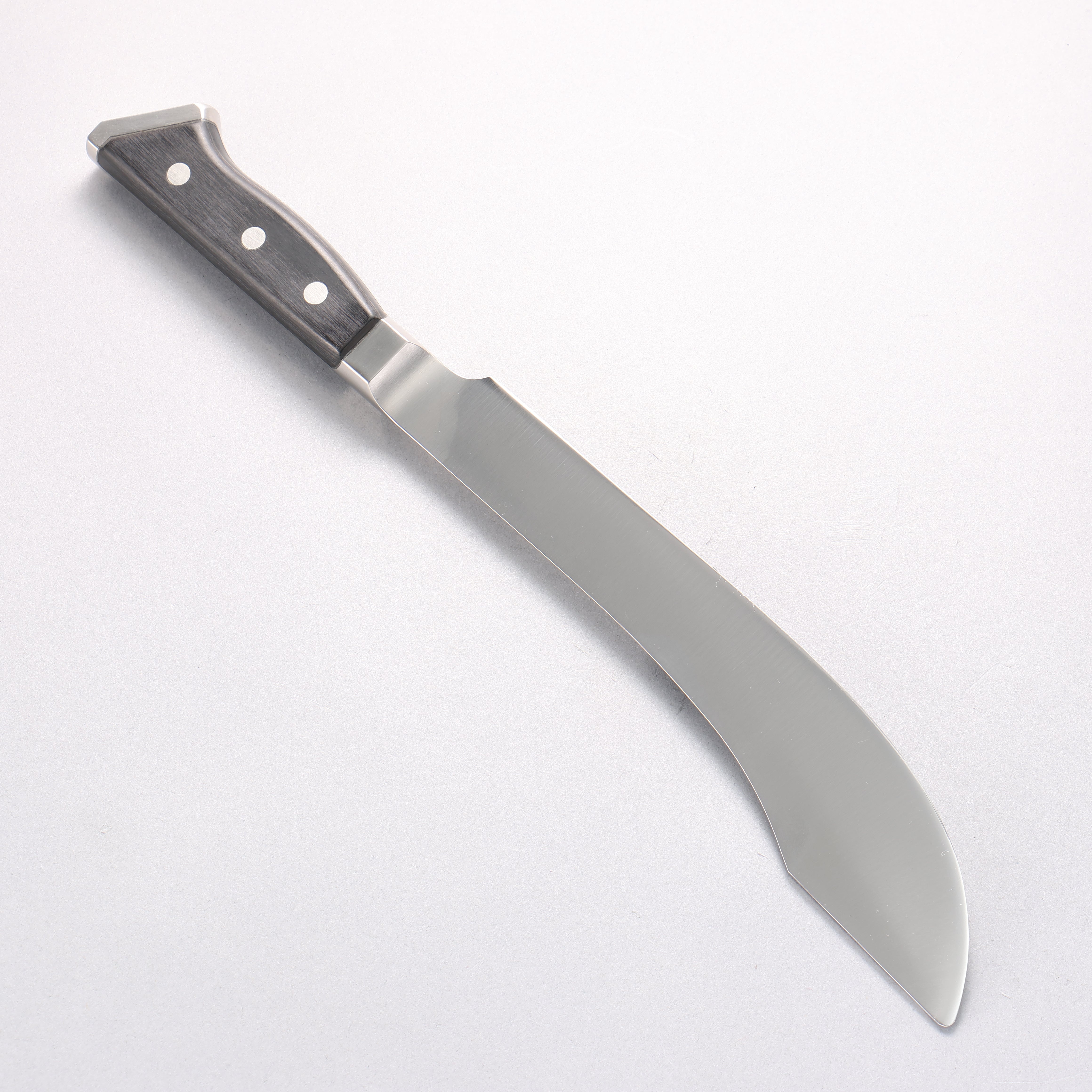 Glestain 不鏽鋼 切肉刀 220mm - 清助刃物
