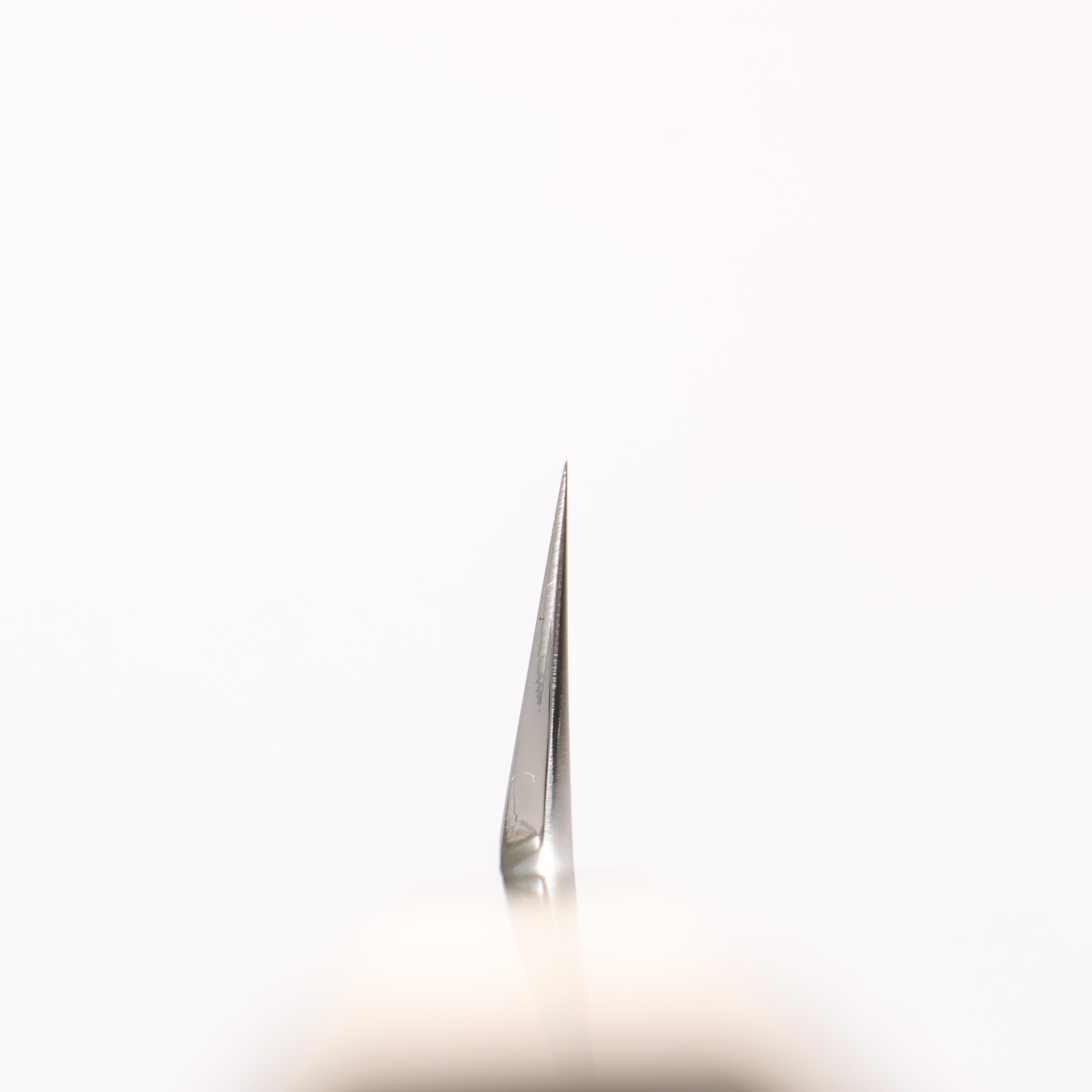 堺 菊守 VG10 鏡面處理 切付柳刃 270mm 木蘭握把 - 清助刃物