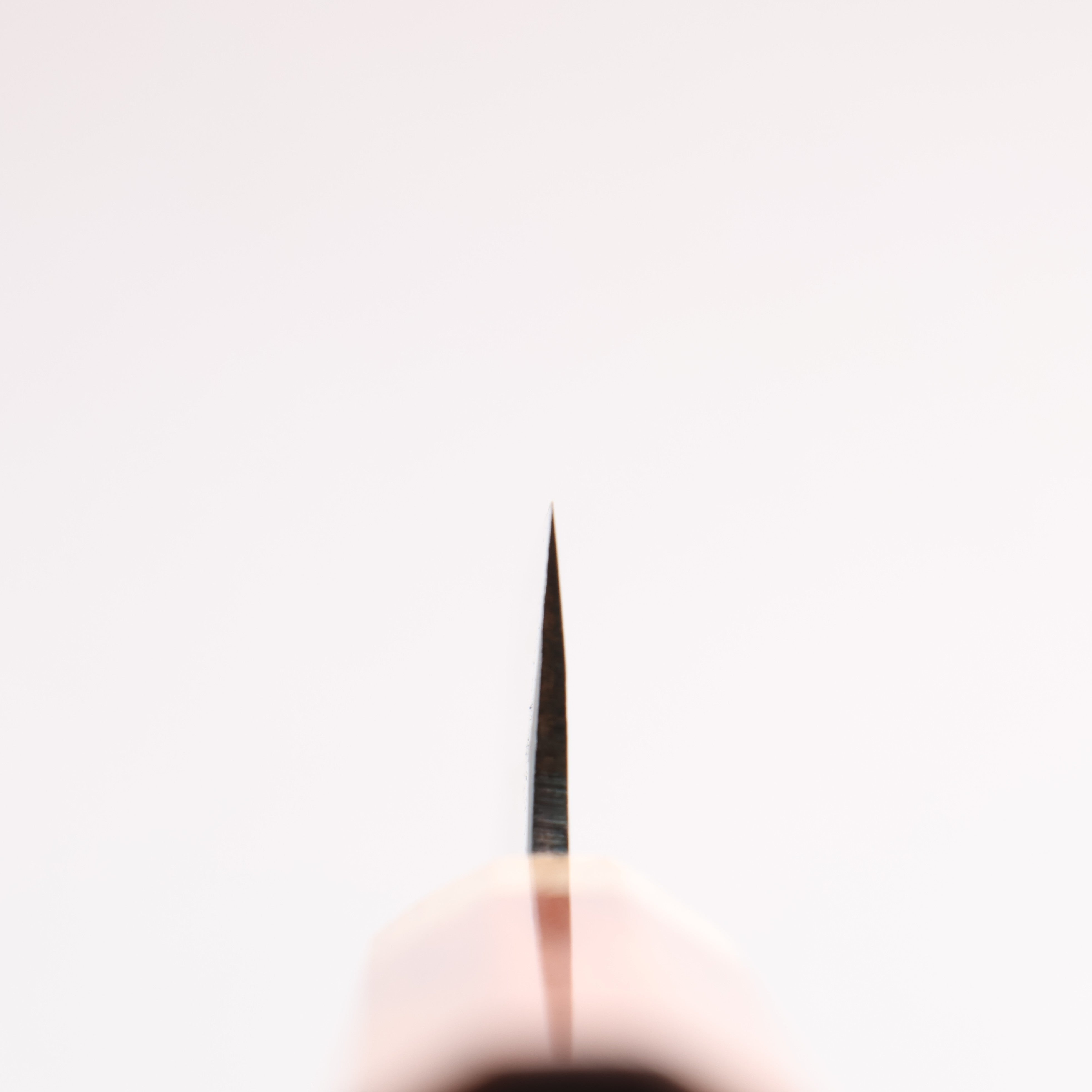 清助 青鋼一號 黑打 多用途小刀 135mm 紫檀木（口輪：樫） 握把 - 清助刃物