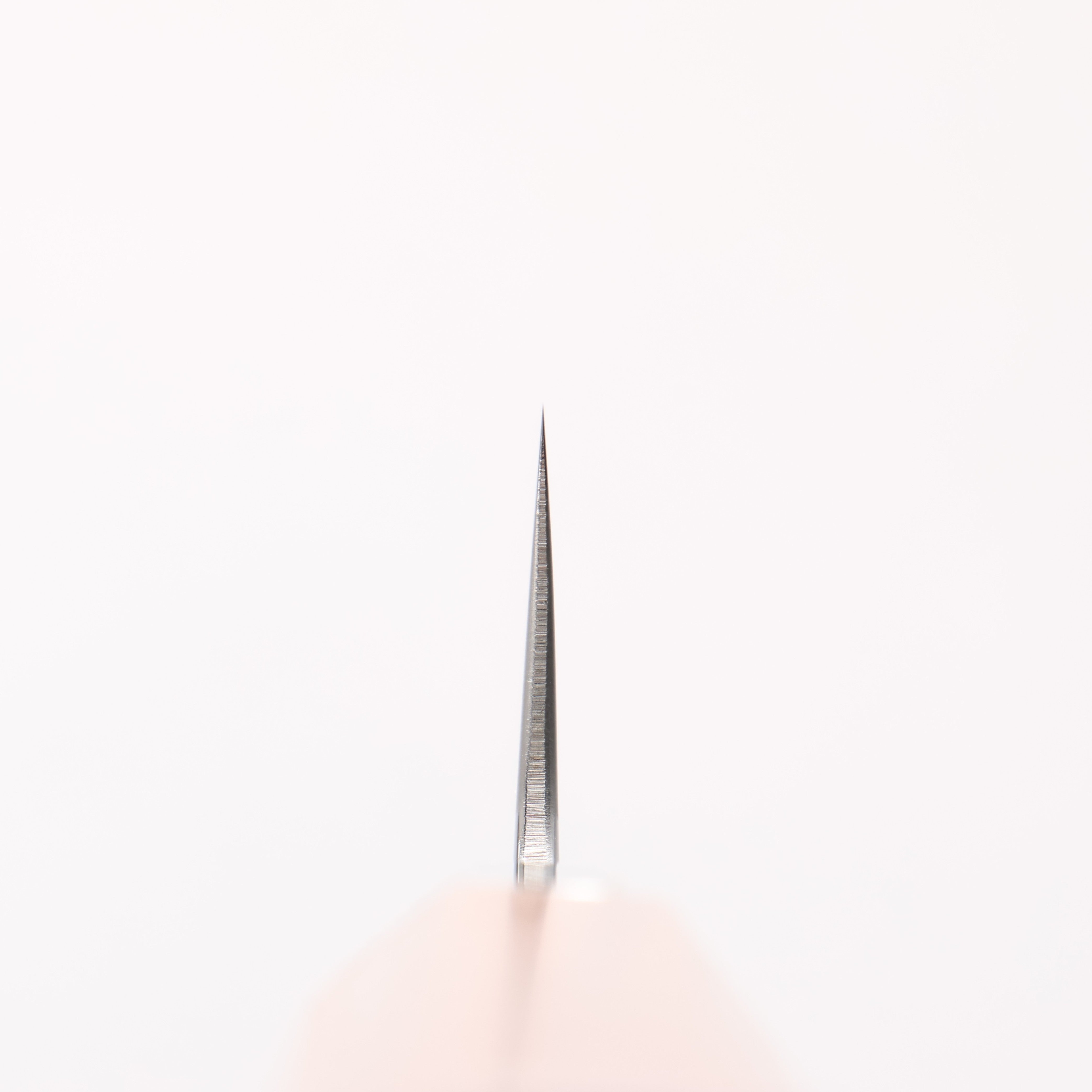 黑鳥 銀三鋼 打磨處理 柳刃 240mm 核桃木 握把 - 清助刃物