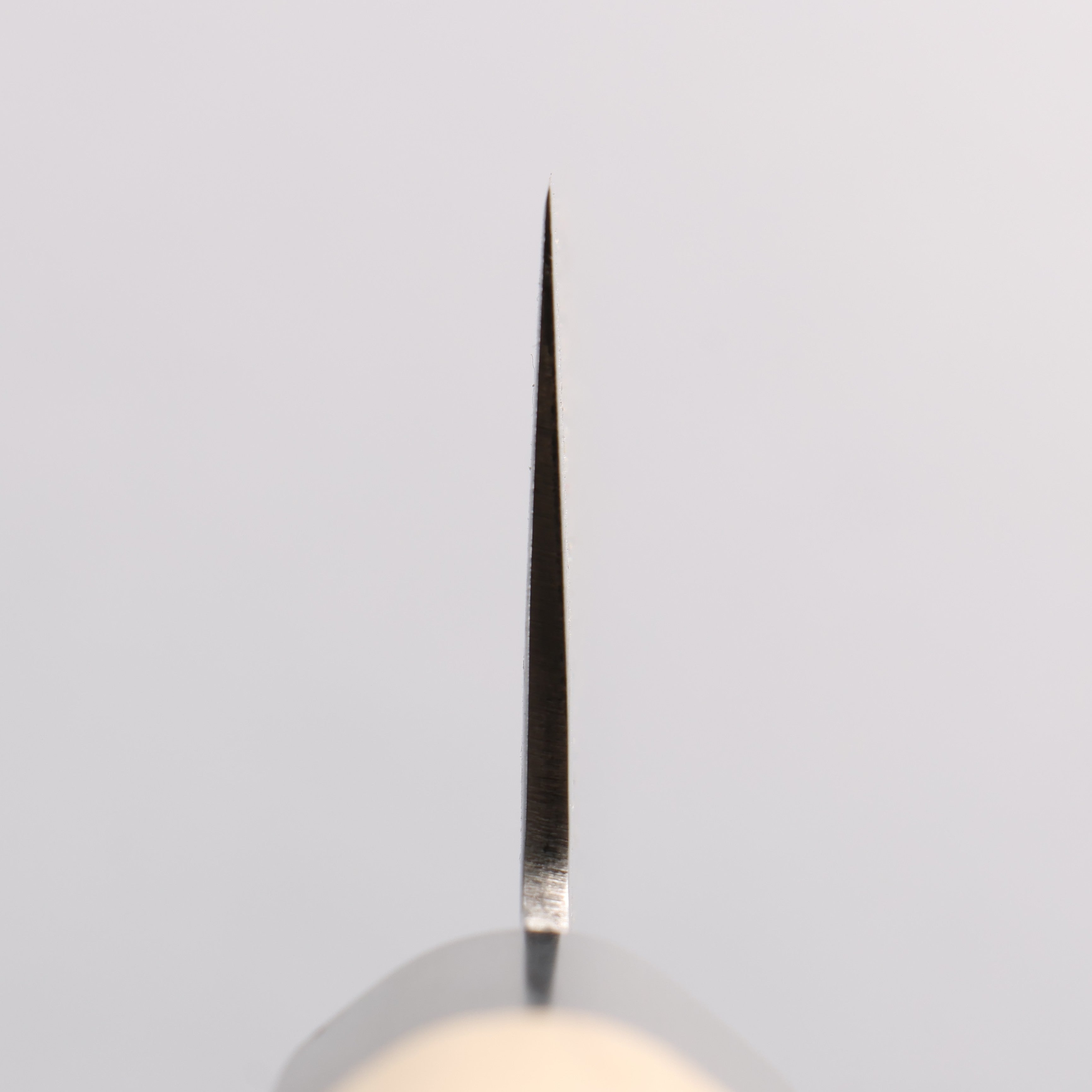 堺 孝行 VG10 33層大馬士革紋 牛刀 240mm 木蘭 握把