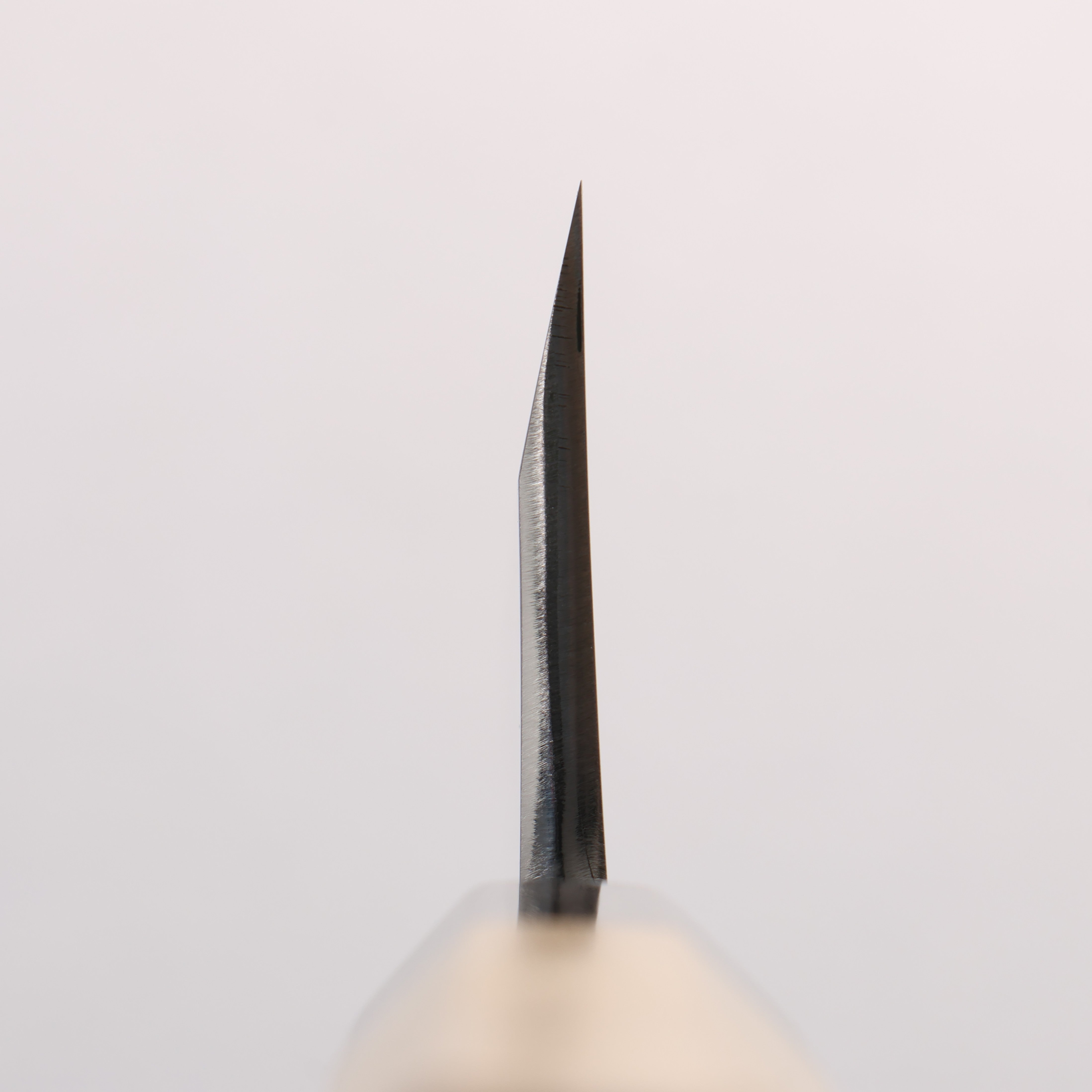 源 昭忠 白鋼二號 相出刃 180mm 木蘭（口輪：水牛角） 握把