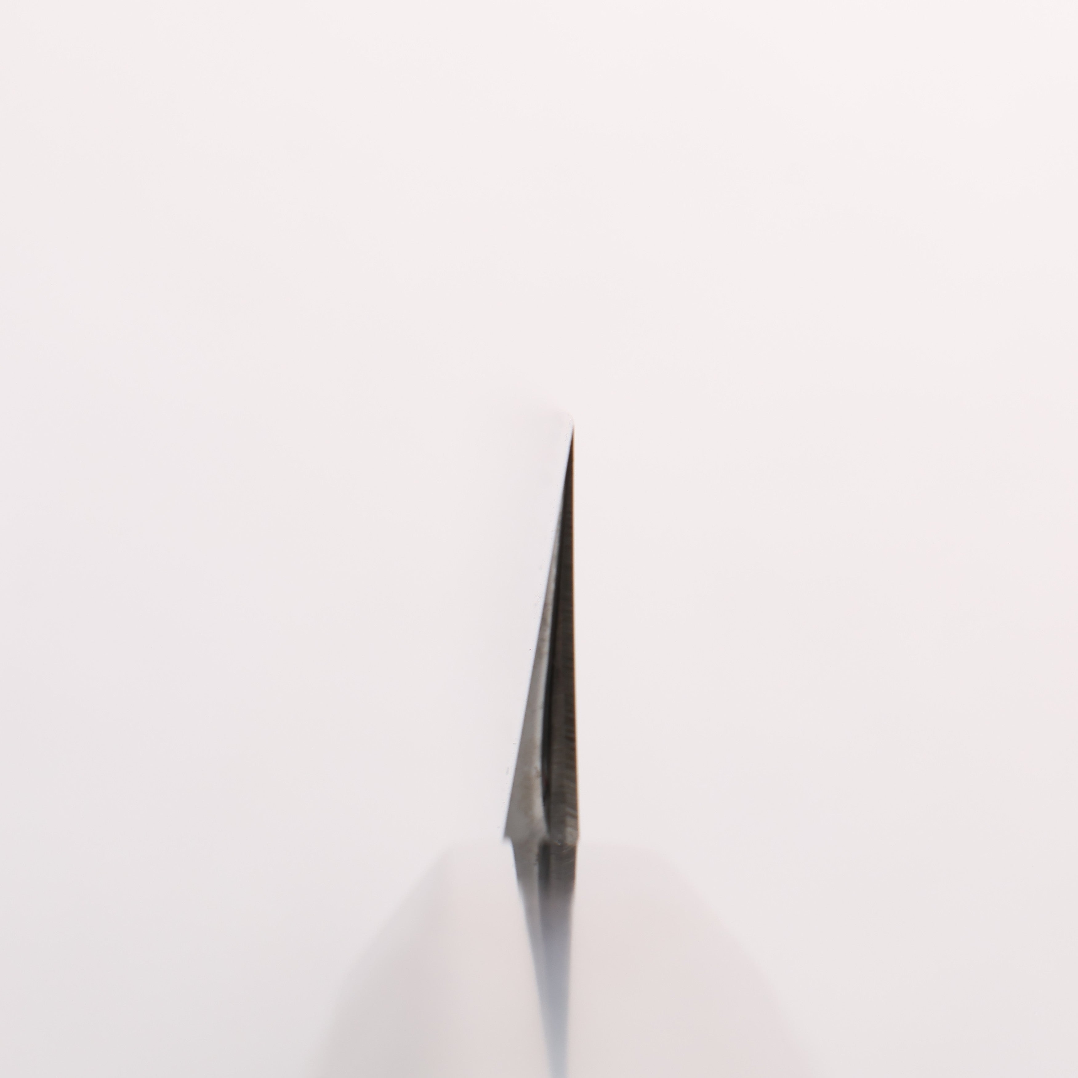 重陽 青鋼一號 鏡面處理 切付柳刃 300mm 黑檀　(口輪：黑水牛角) 握把