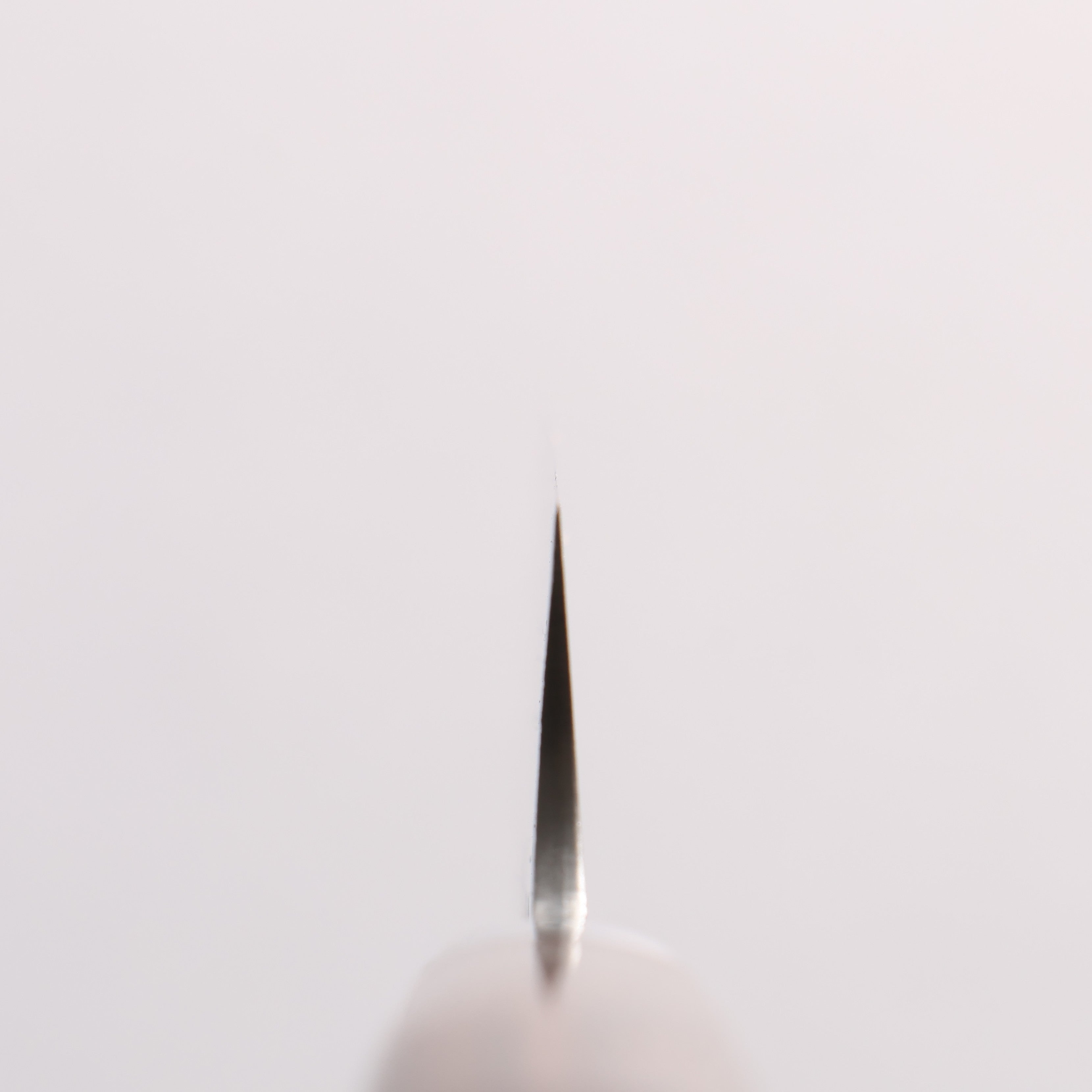 堺 孝行 SG2 鎚目 大馬士革紋 打磨處理 劍型多用途小刀 150mm 紫檀木 握把