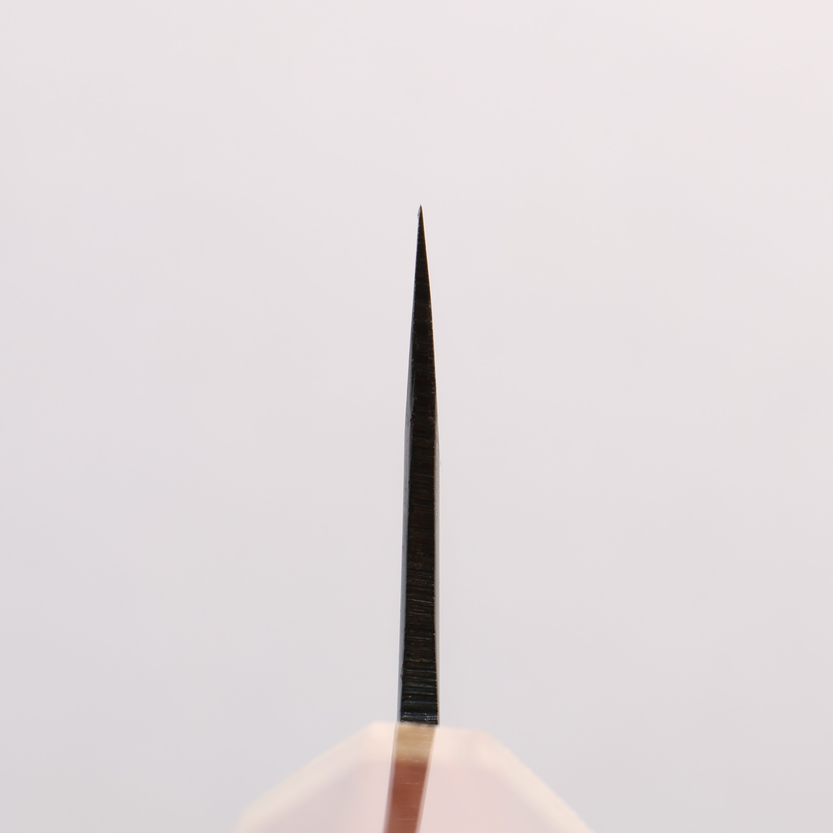 清助 超級青鋼 黑打 切付牛刀 210mm 紫檀木（口輪：樫） 握把