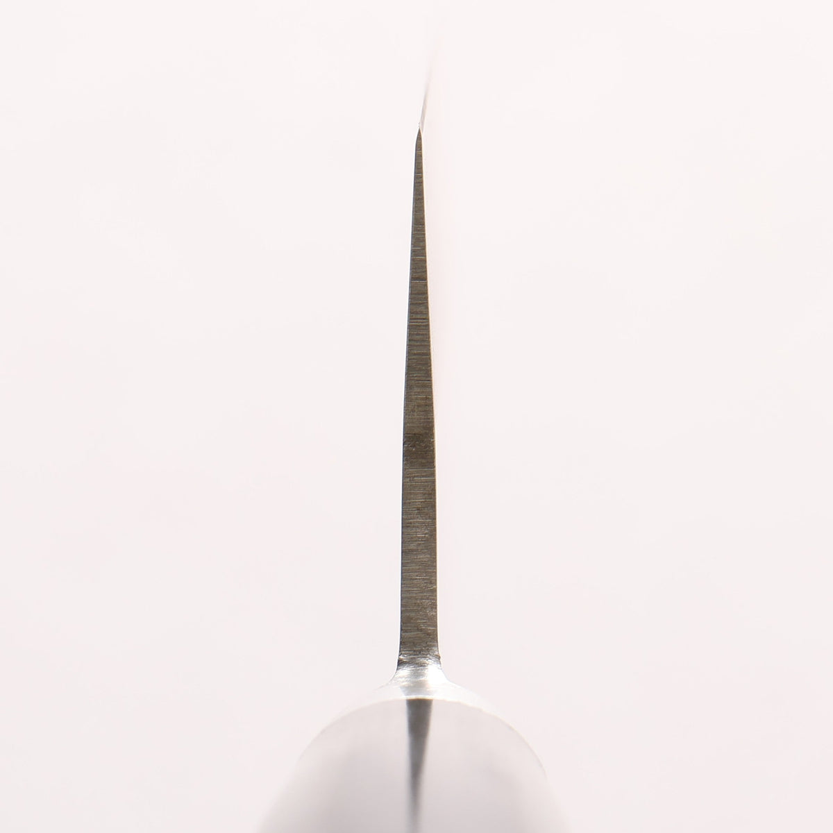 清助 SG2 三德刀 165mm 茶色合成木 握把