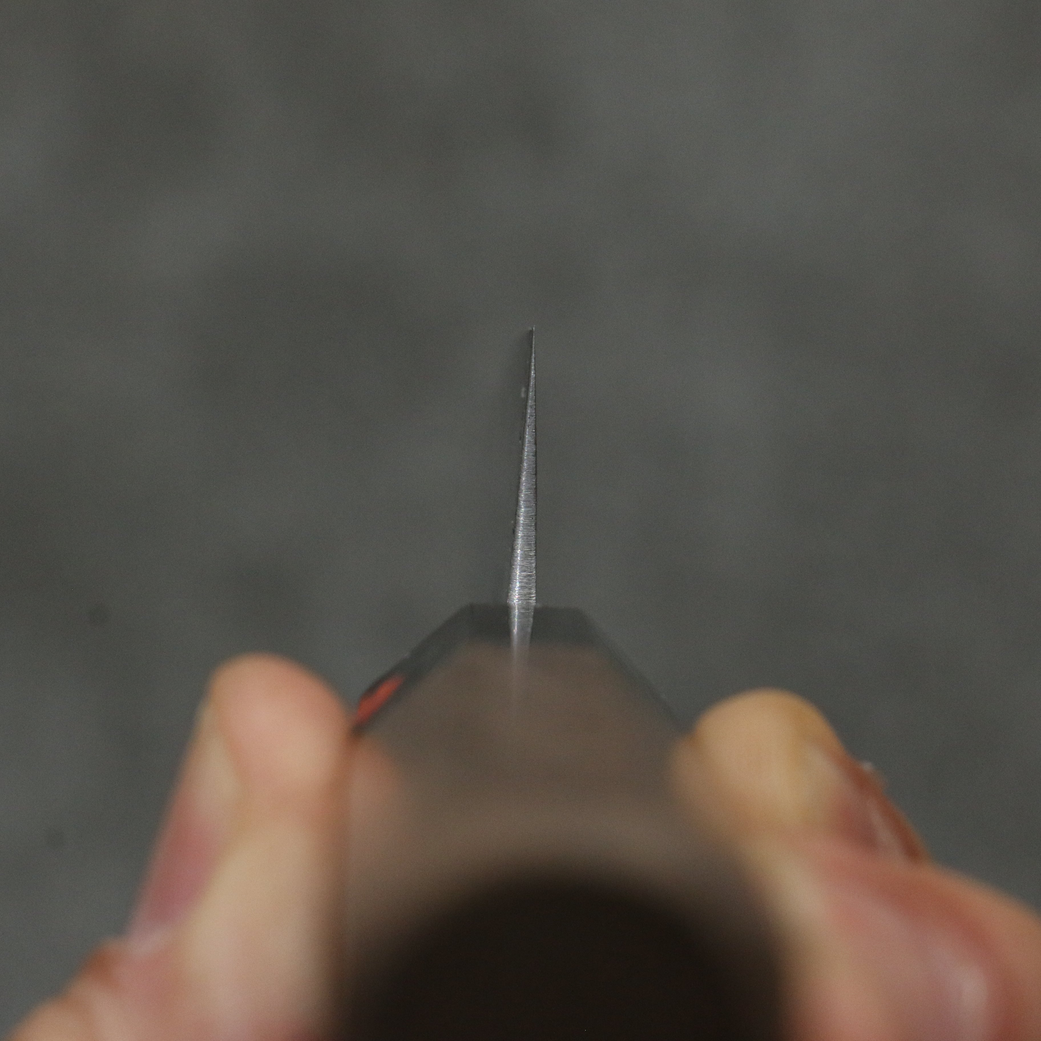 田中 誠貴 春風 SG2 大馬士革紋 多用途小刀 150mm 核桃木 握把 - 清助刃物