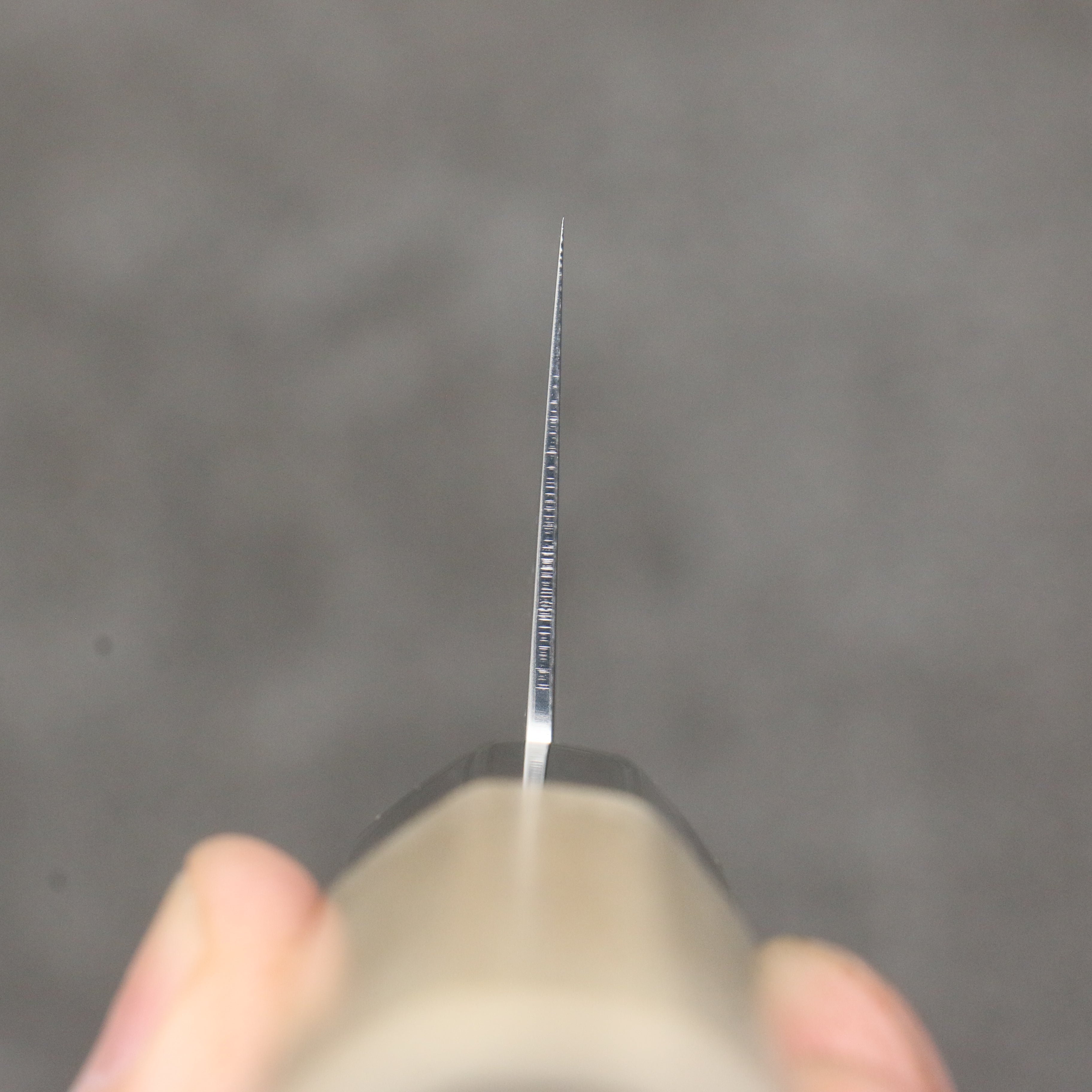 清助 VG10 大馬士革紋 切付牛刀 210mm 木蘭 握把 - 清助刃物