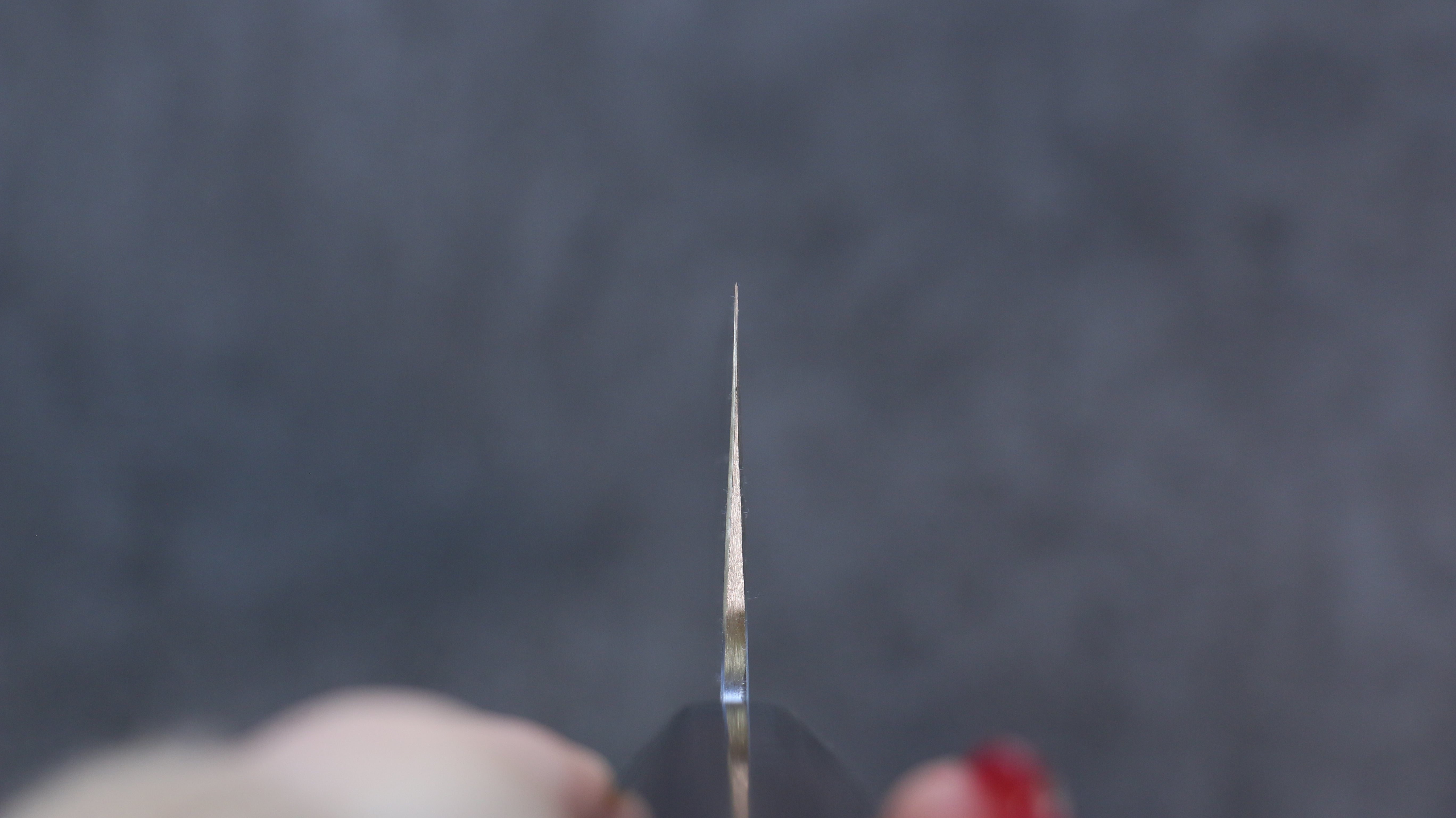 山本 直 SG2 黑色大馬士革紋 牛刀  270mm 紫檀木 握把 - 清助刃物