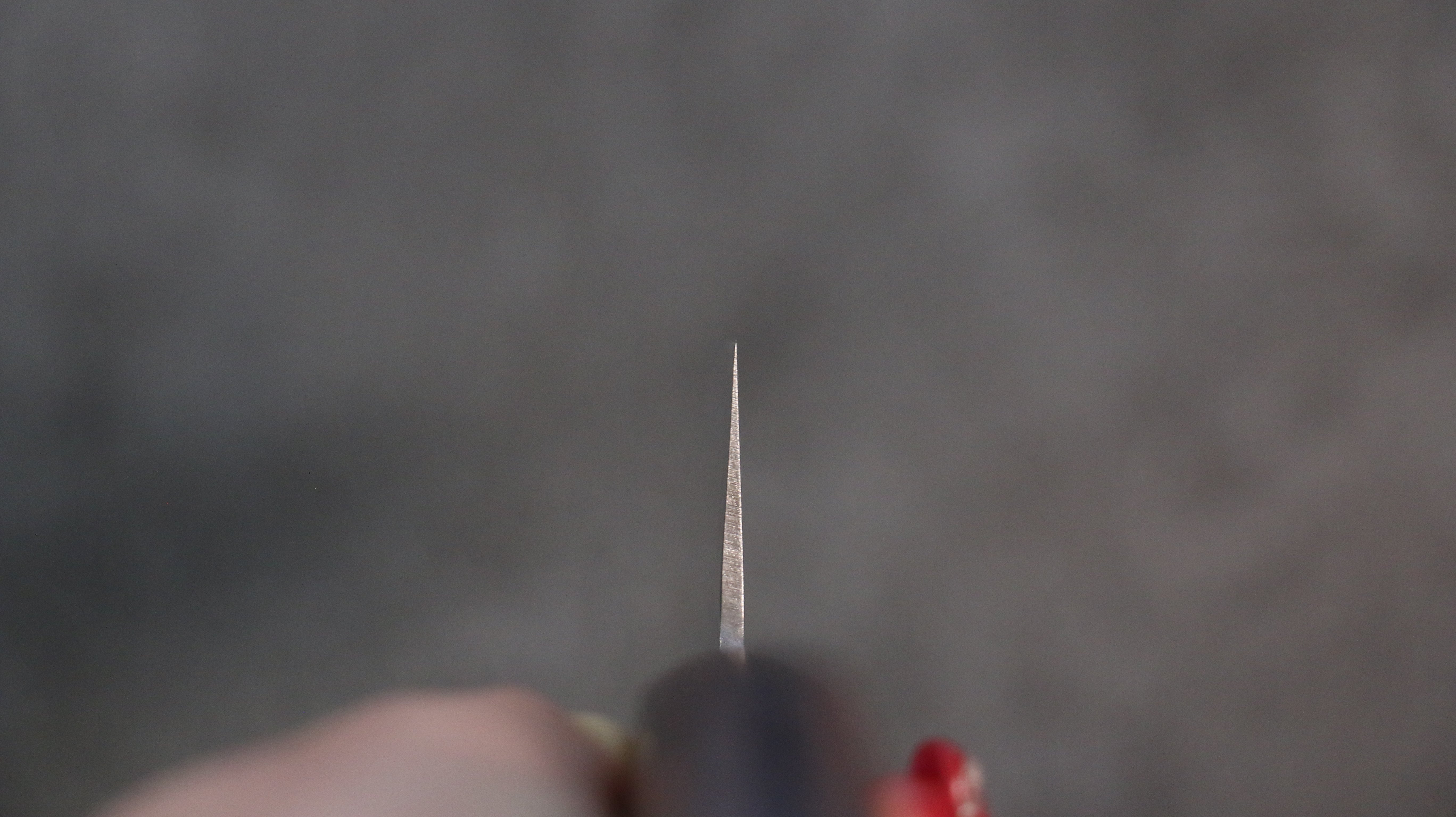 清助 瑞典鋼 鎚目 牛刀  180mm 桃花心木 握把 - 清助刃物