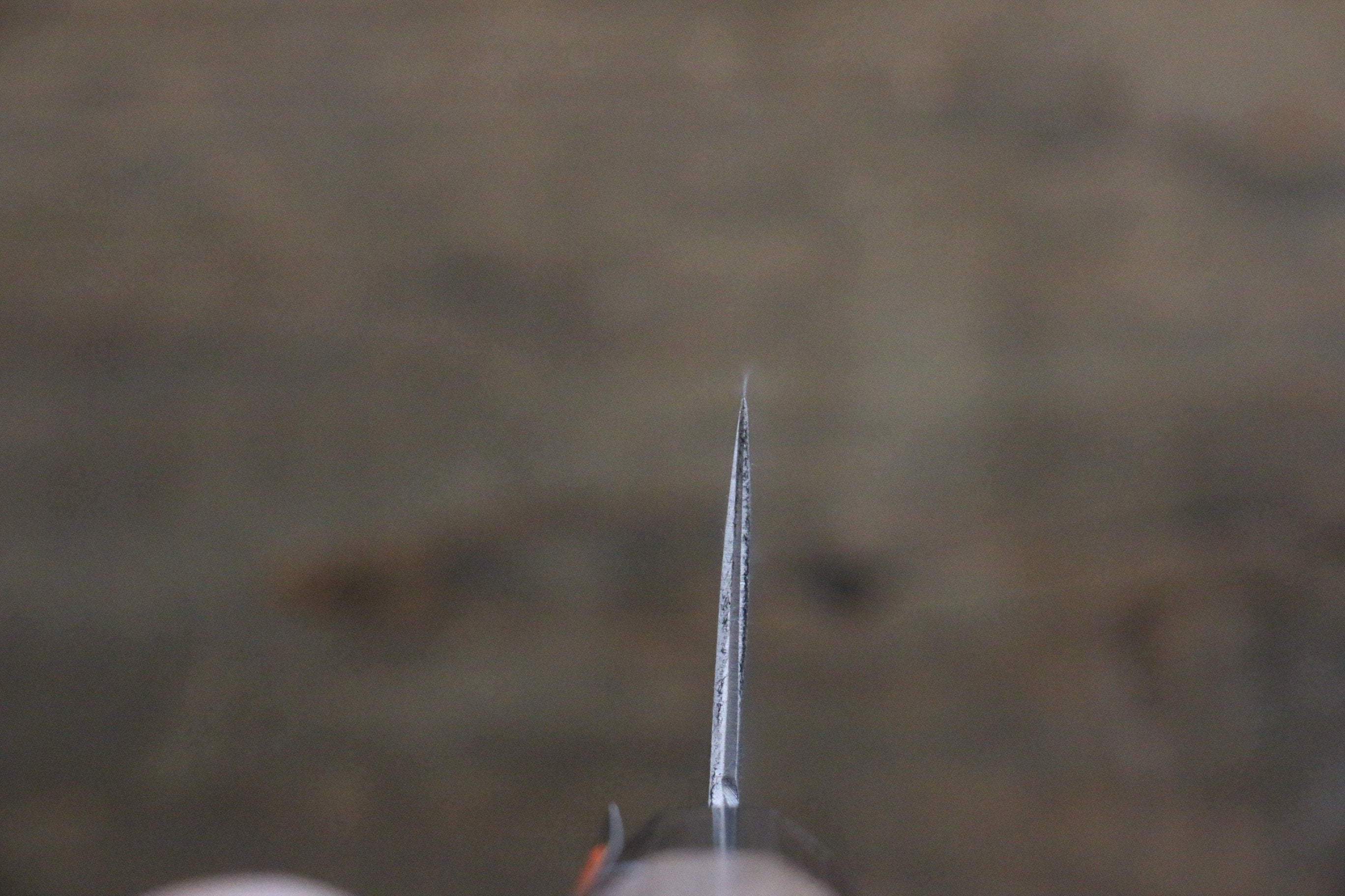 田中 誠貴 鐵火 青鋼二號 黑打 牛刀  180mm 核桃木握把 - 清助刃物