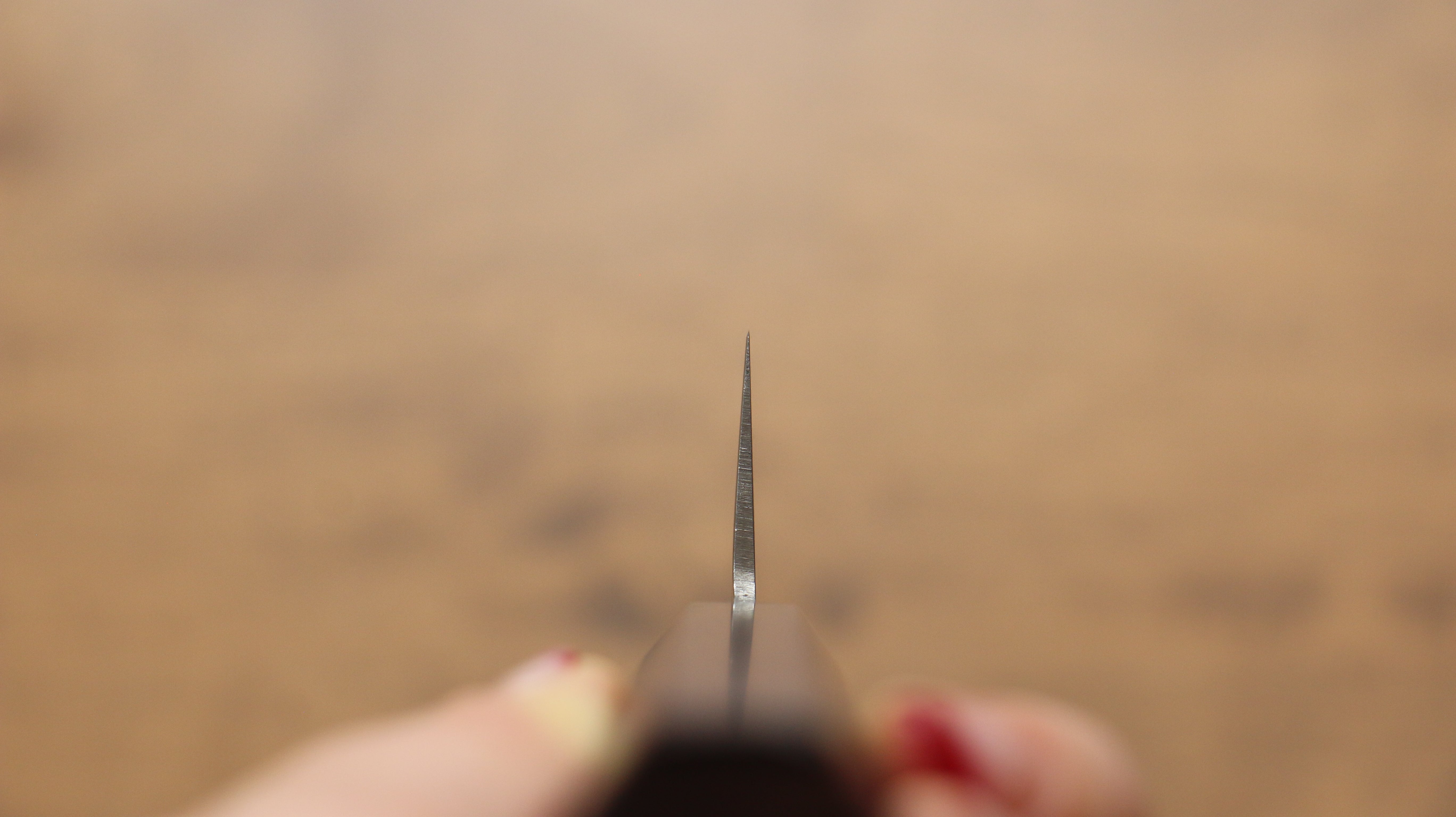 清助 AUS10 45層大馬士革紋 薄刃 160mm 紫檀木 握把 - 清助刃物
