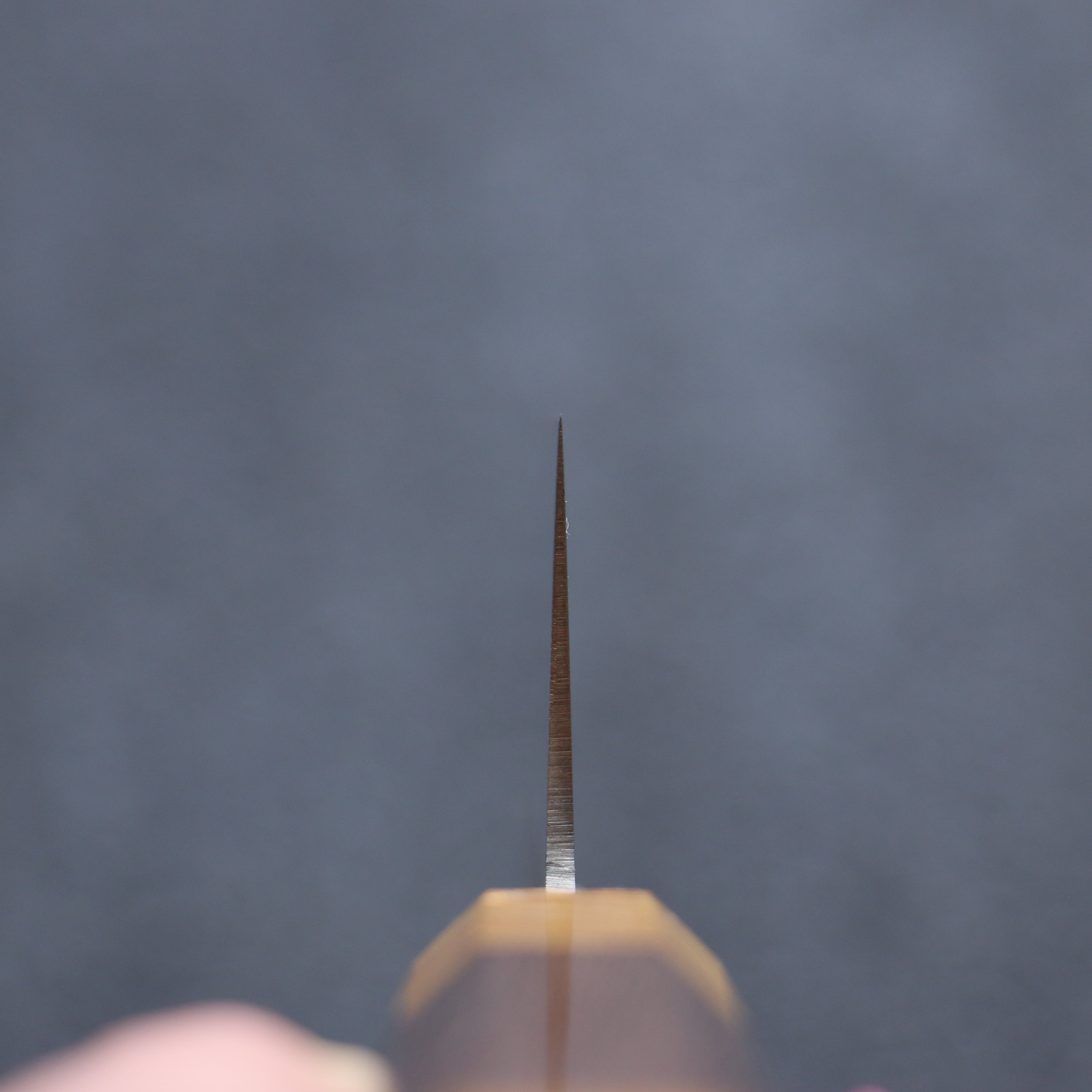 堺 孝行 JEWEL 托帕石 VG1 三德刀  180mm 雞翅木（兩側黃口輪） 握把 - 清助刃物