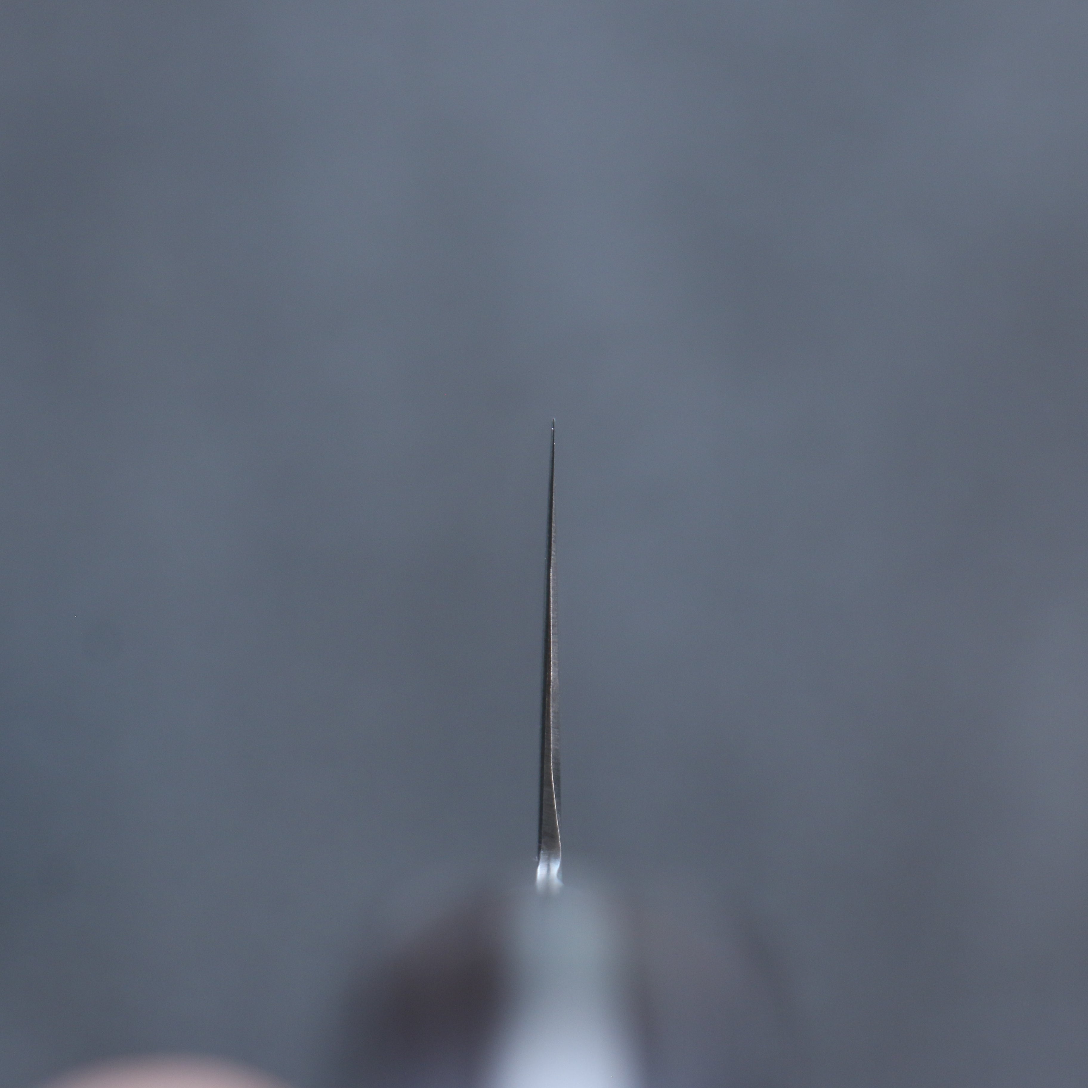 清助 SG2 鎚目 牛刀  210mm 桃花心木 握把 - 清助刃物