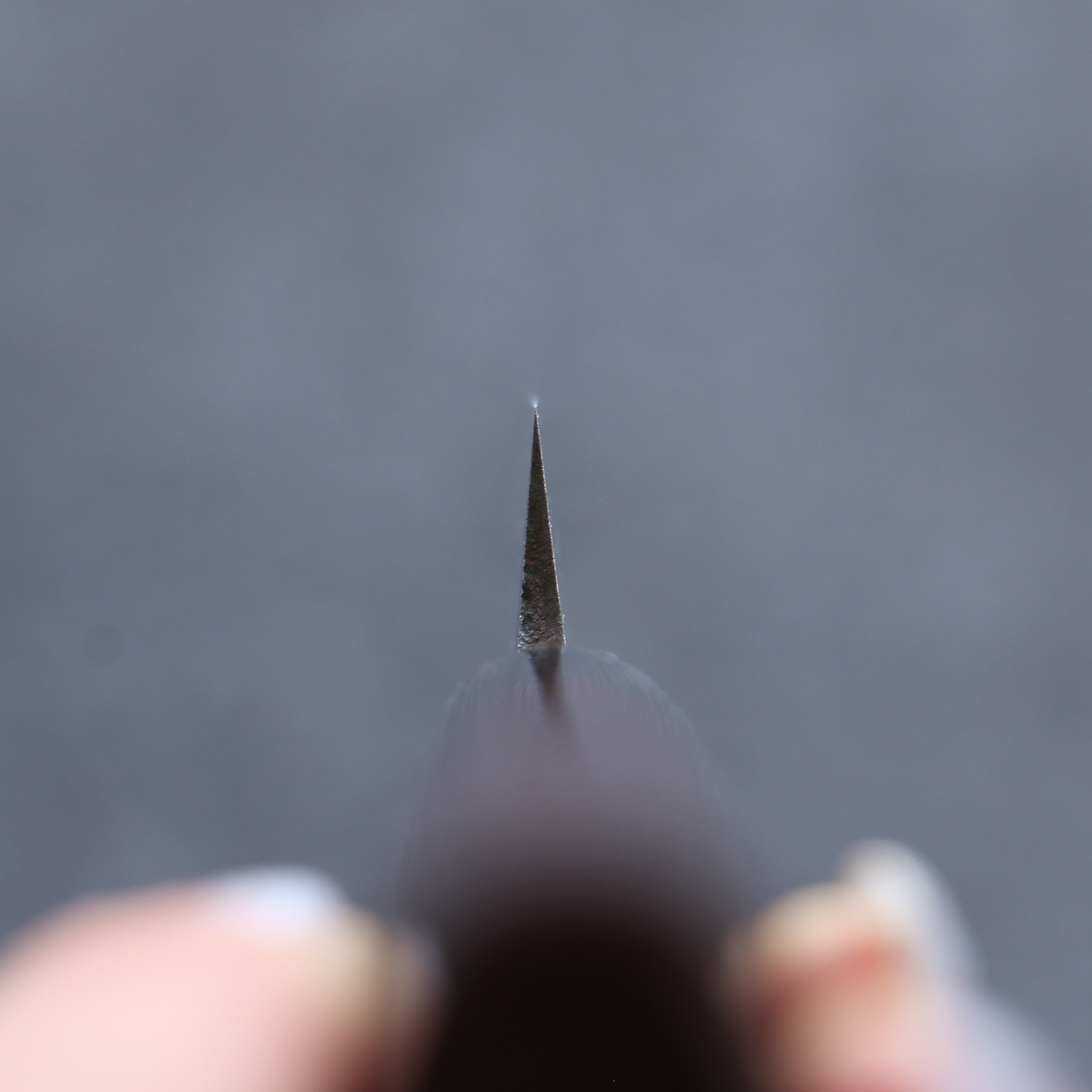 清助 VG1 霞研 柳刃  240mm 紫檀木 握把 - 清助刃物