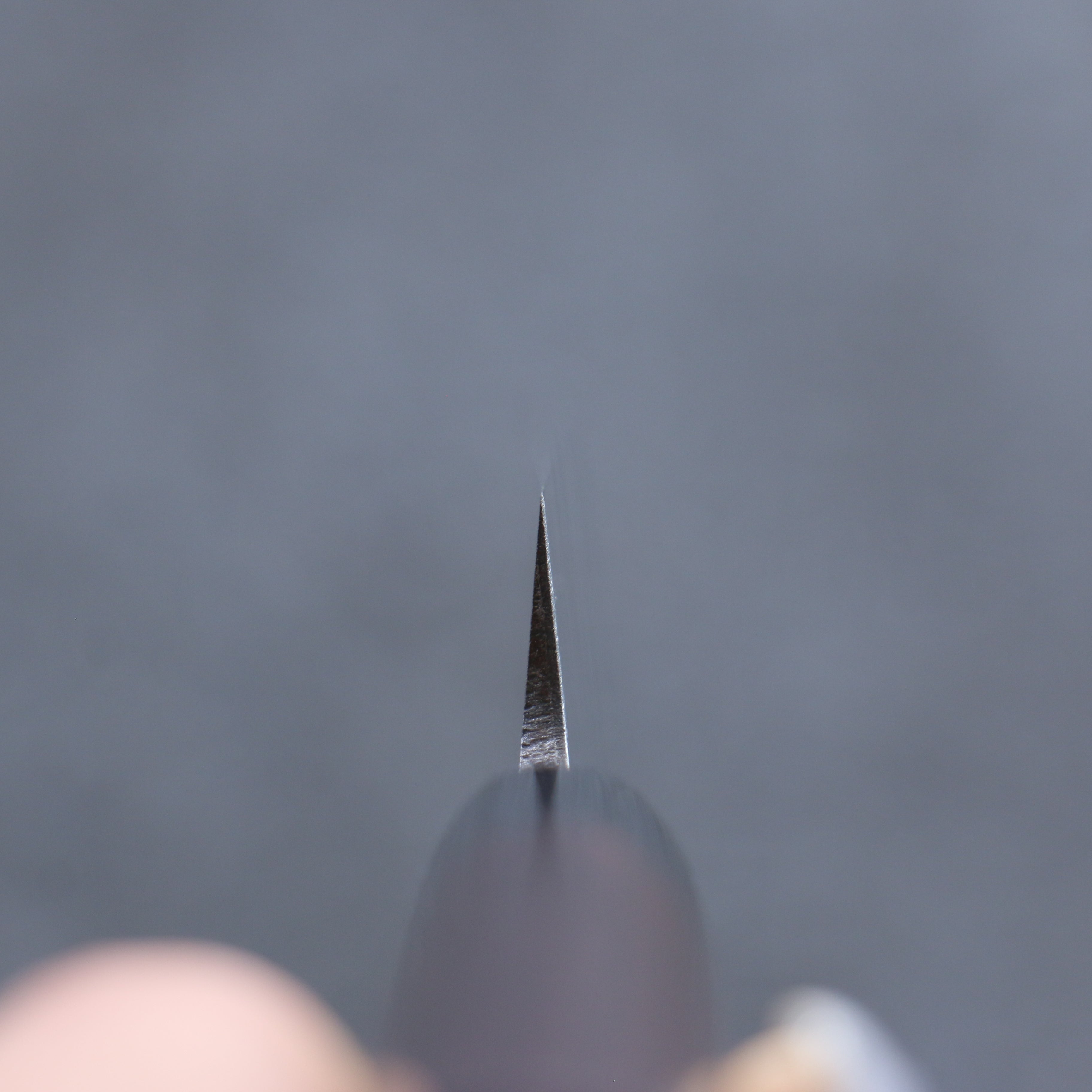 清助 VG1 霞研 柳刃  210mm 紫檀木 握把 - 清助刃物