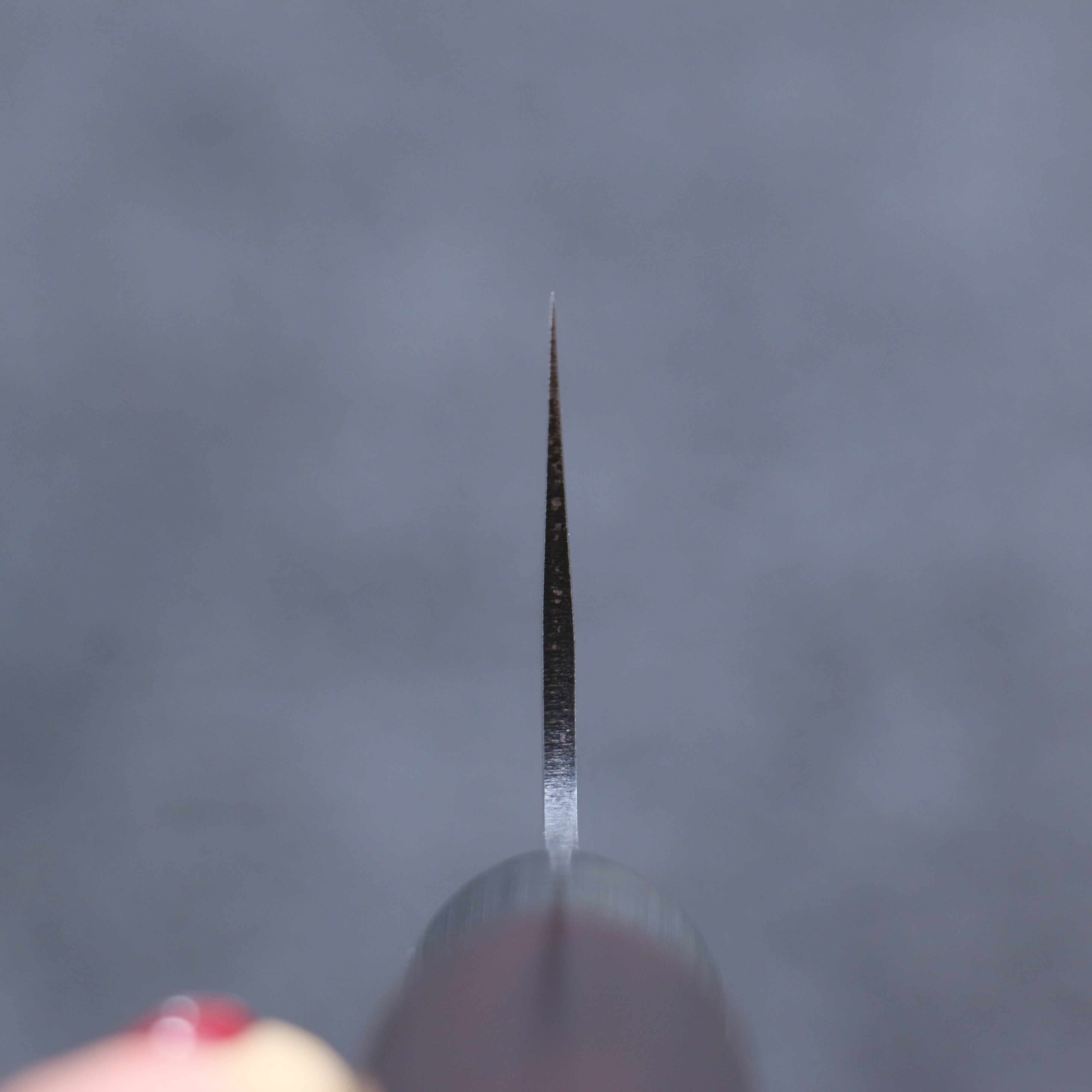 三寿ゞ (Misuzu) VG10 霞研 切付牛刀  210mm 茶色漆塗 握把 - 清助刃物