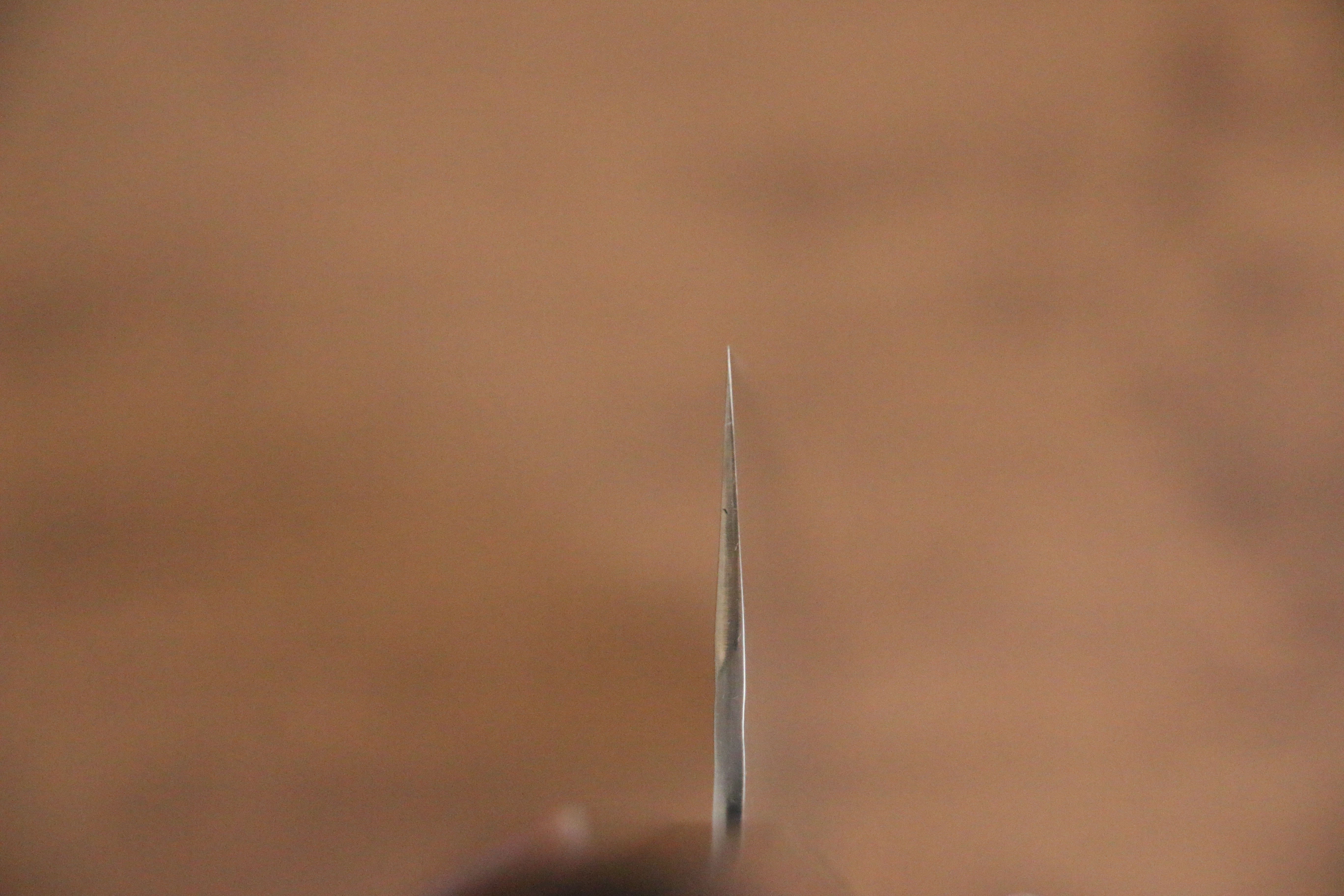 黑崎 優 閃光銳 SG2 鎚目 牛刀 210mm 紫檀木（口輪：綠合成木） 握把 - 清助刃物